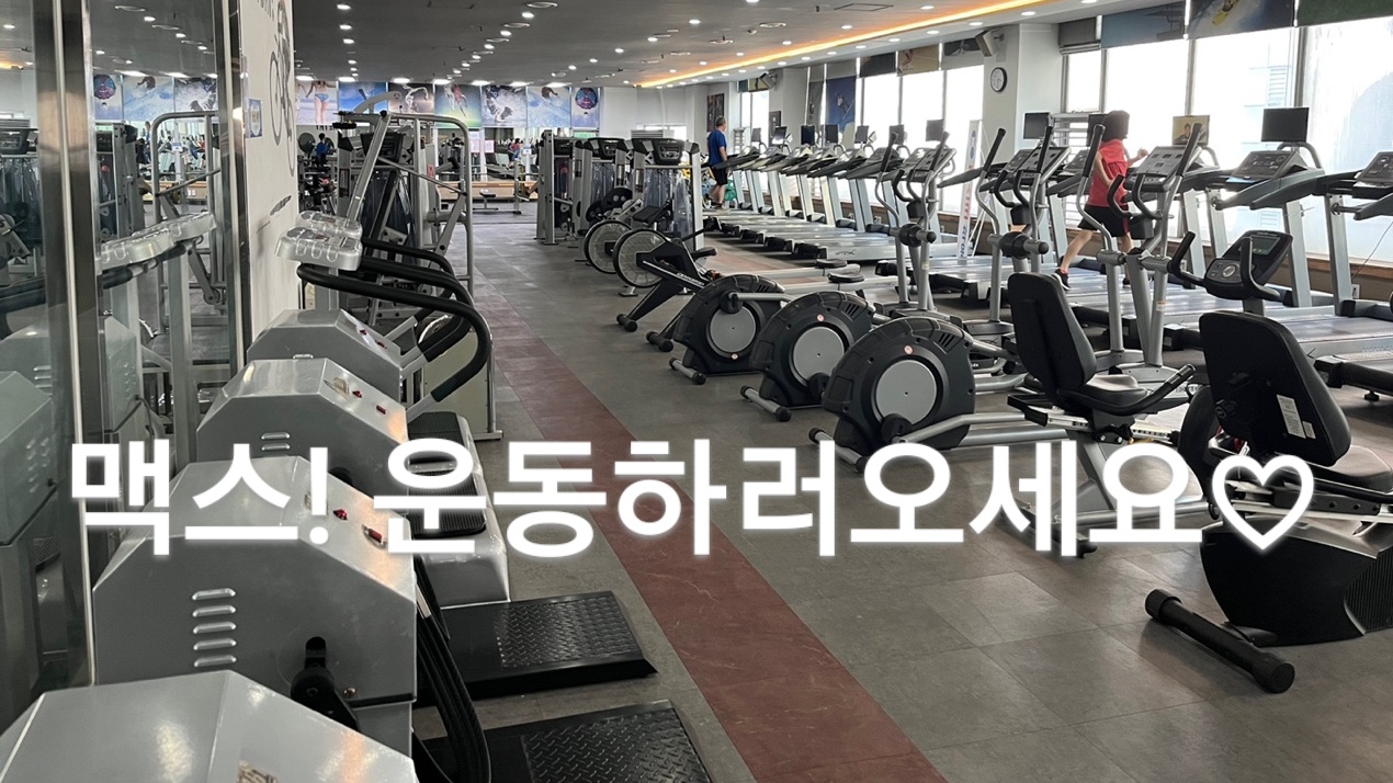 맥스헬스휘트니스