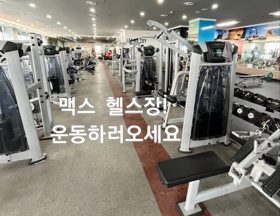 맥스헬스휘트니스