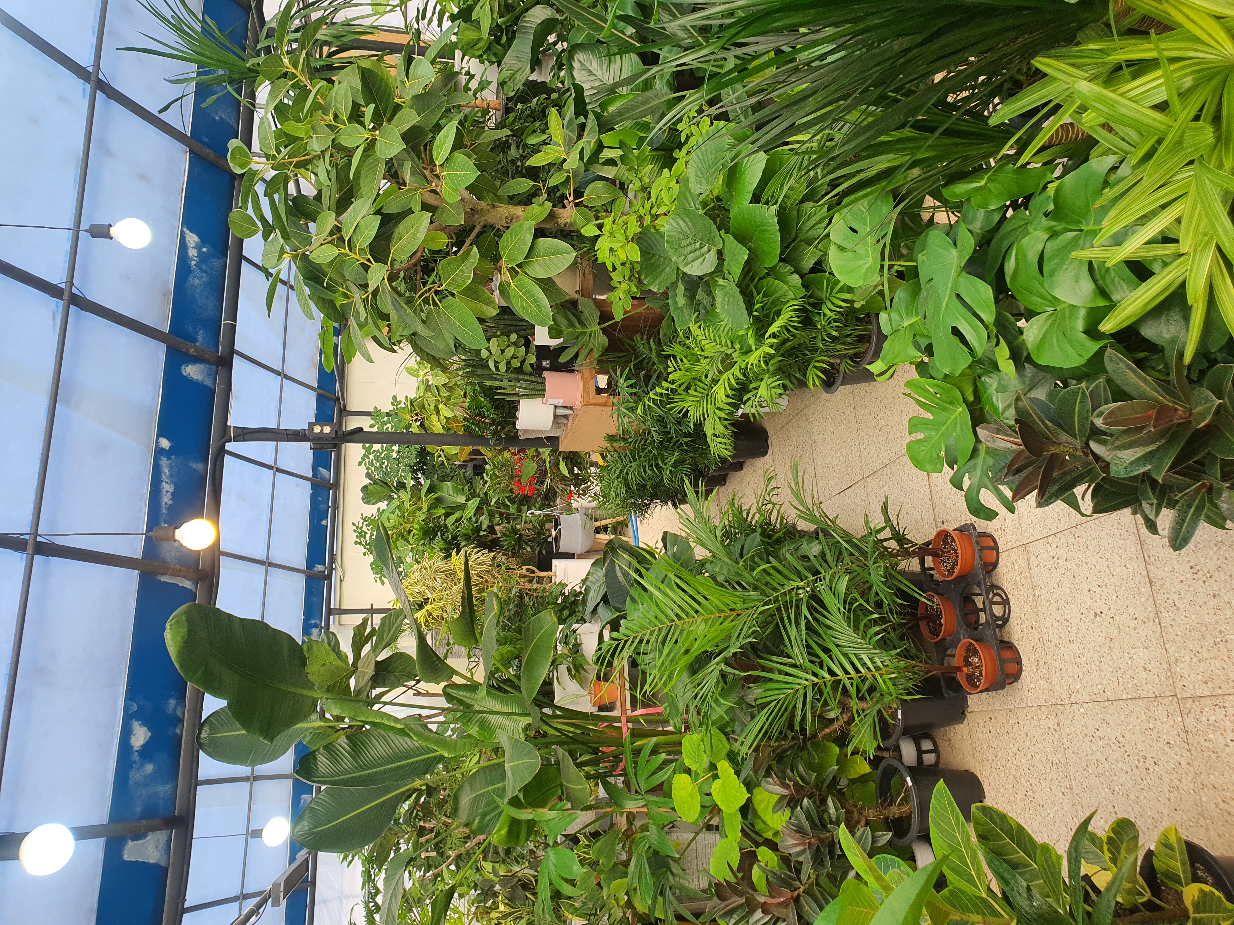 명품꽃화분 대표 이미지