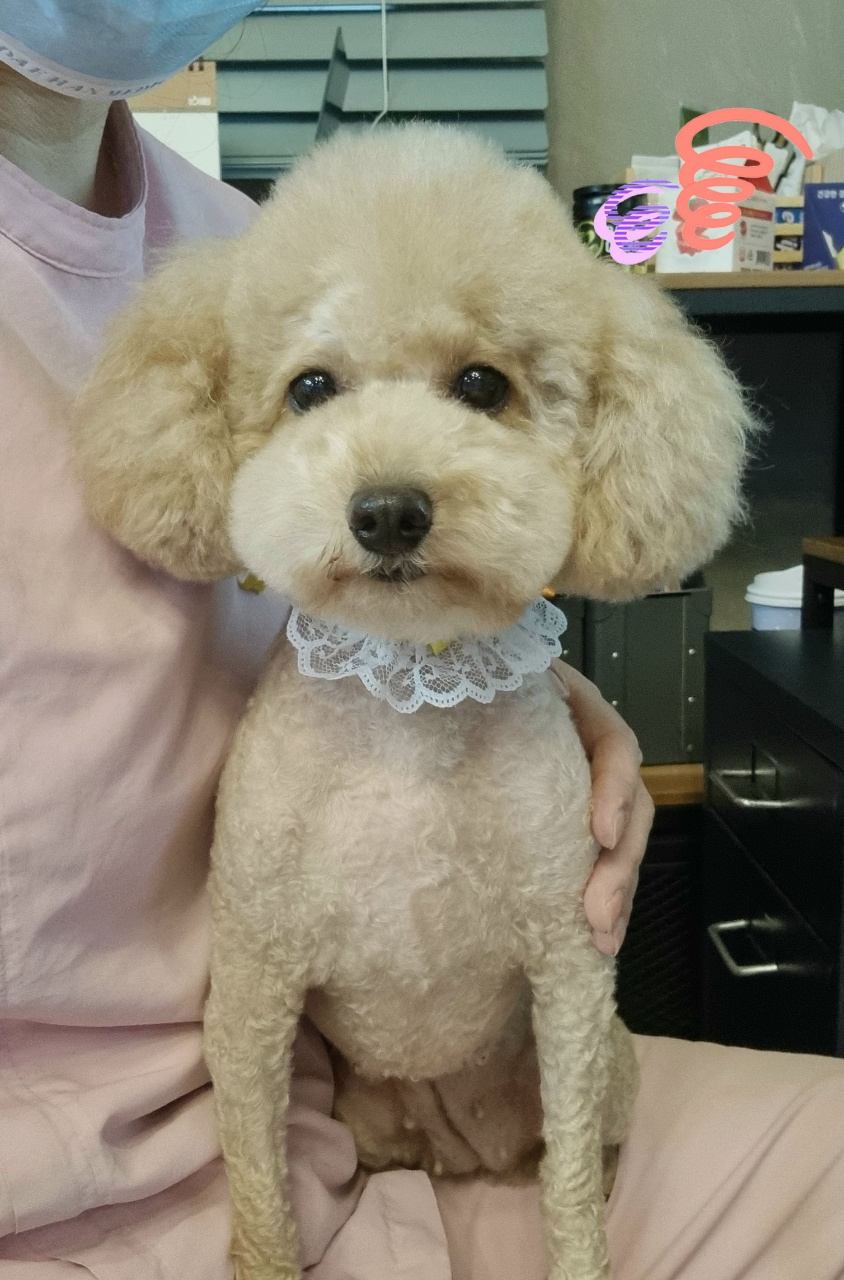 제이제이스타일 대표 이미지
