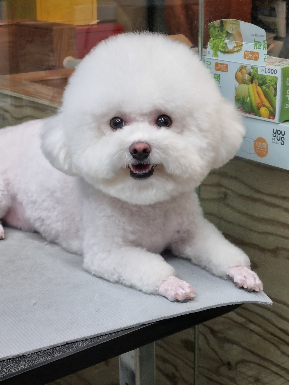 제이제이스타일 대표 이미지