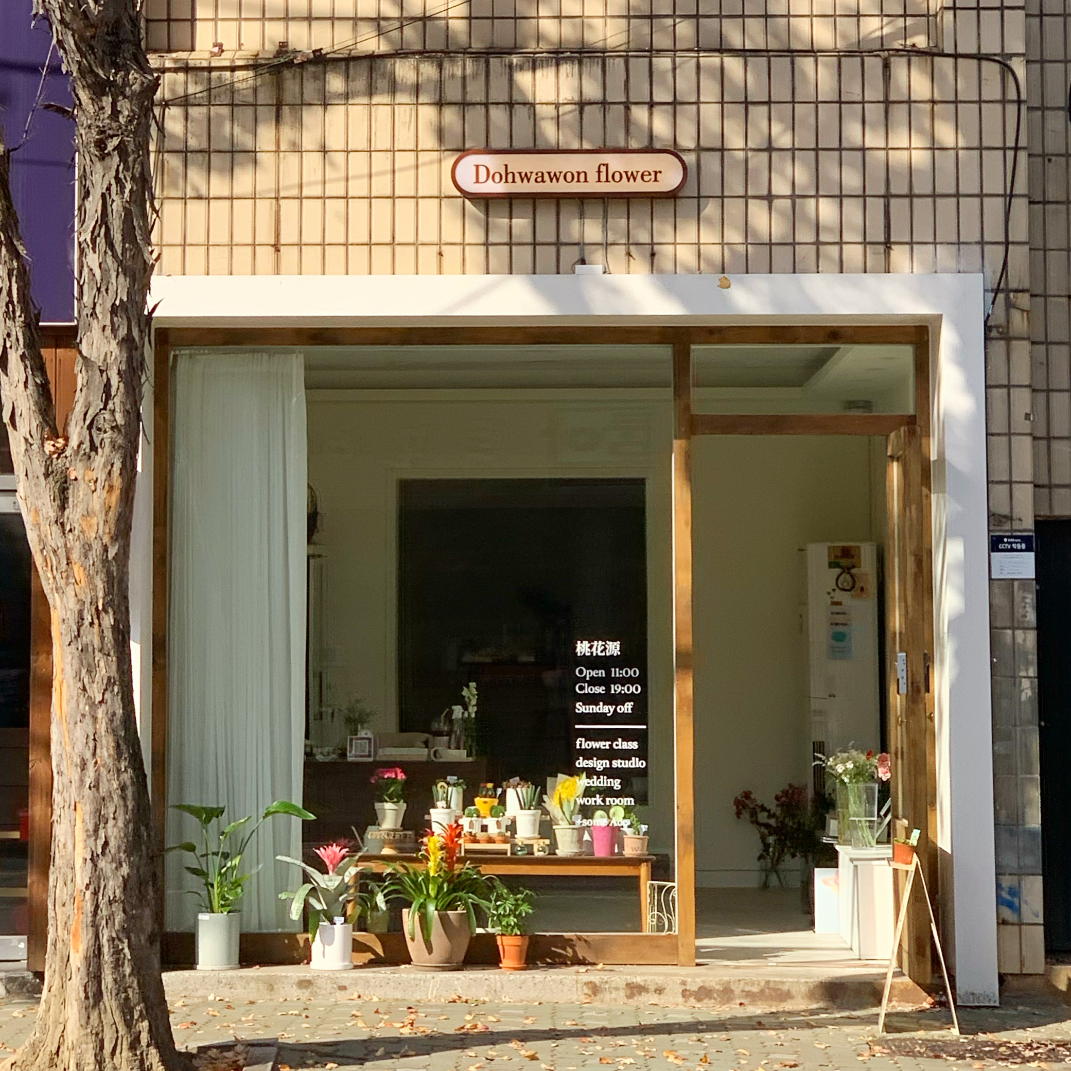 도화원플라워