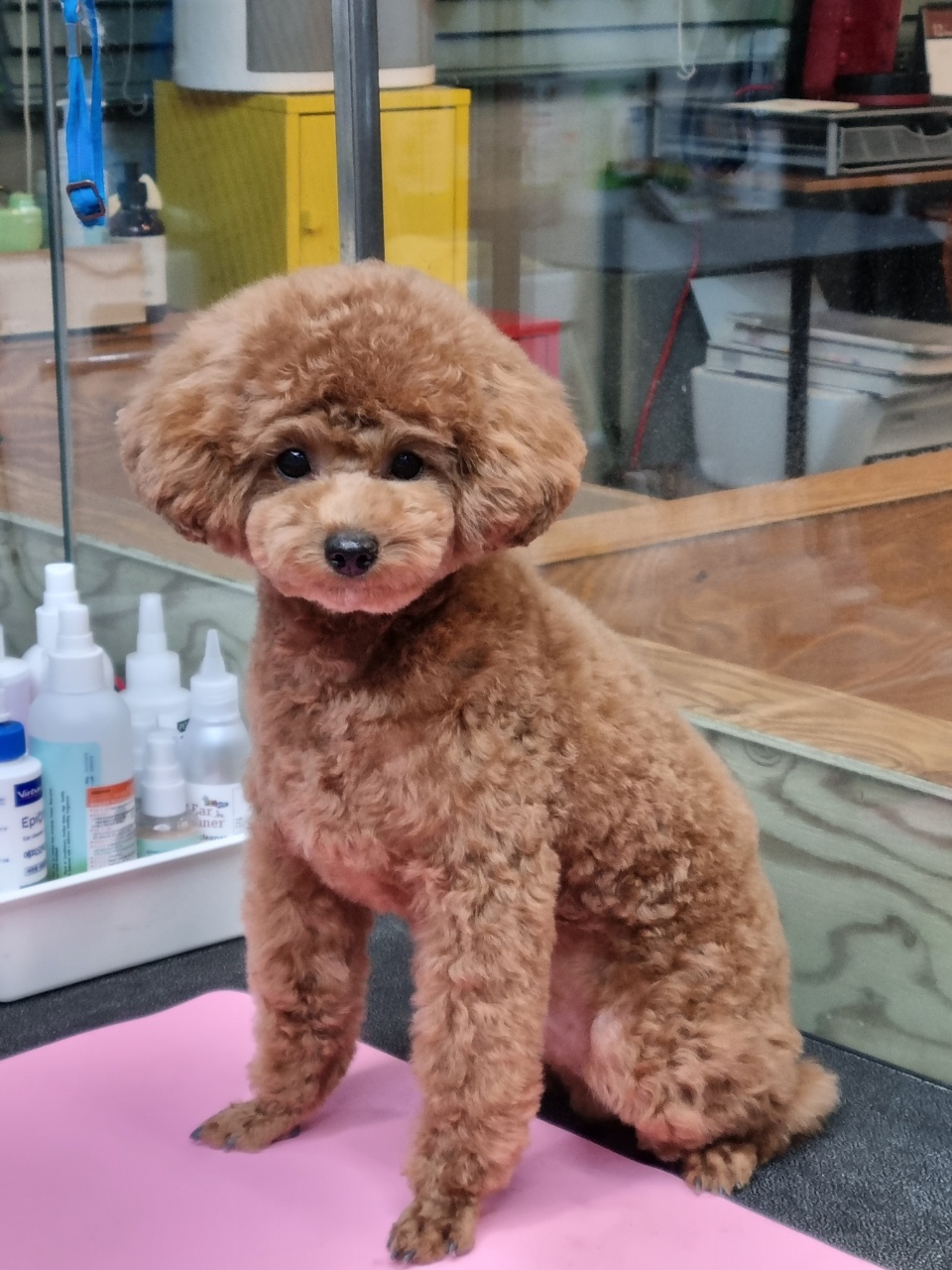 제이제이스타일 대표 이미지