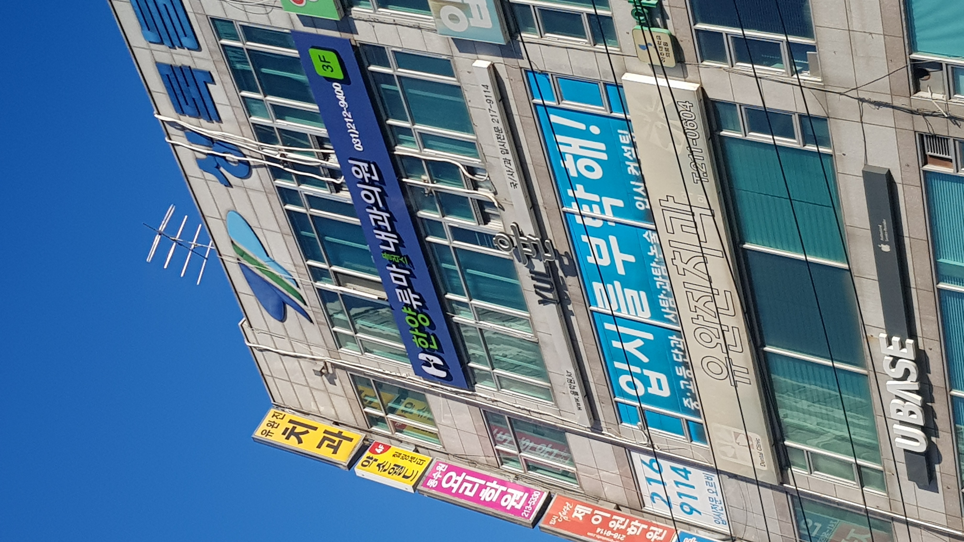한양류마플러스내과의원