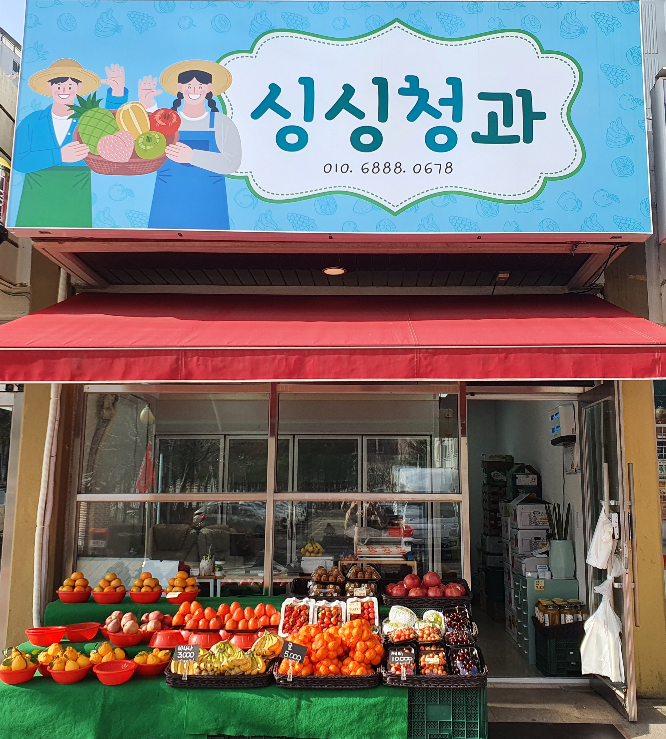 싱싱청과