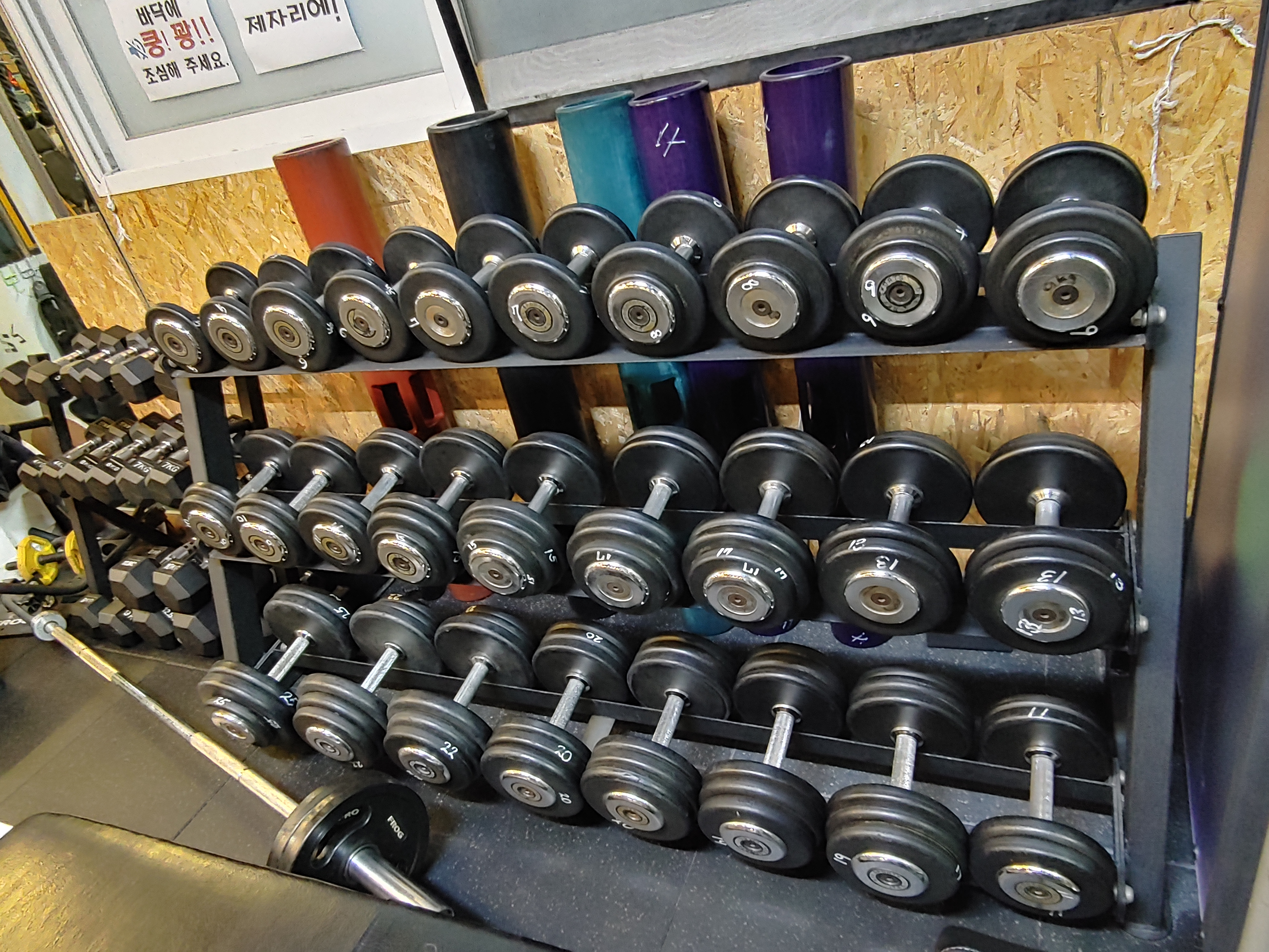 조바디핏 PT 대표 이미지