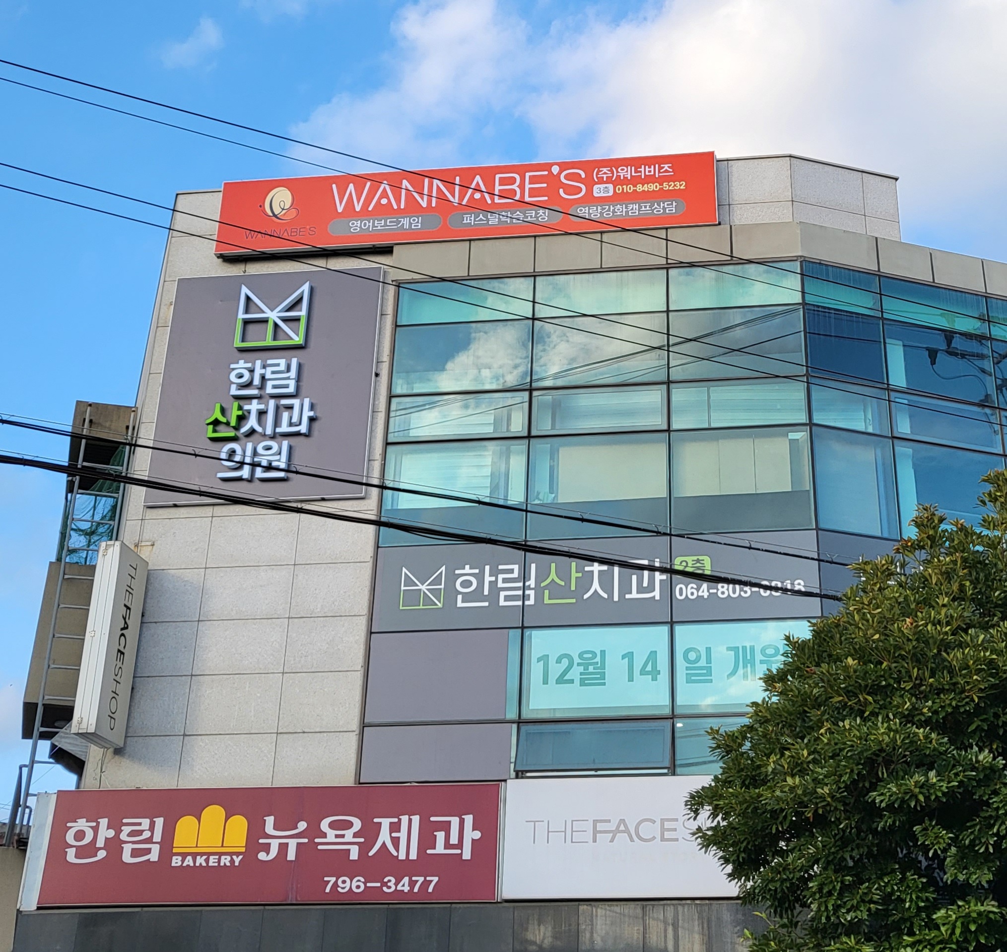 워너비즈 제주지점