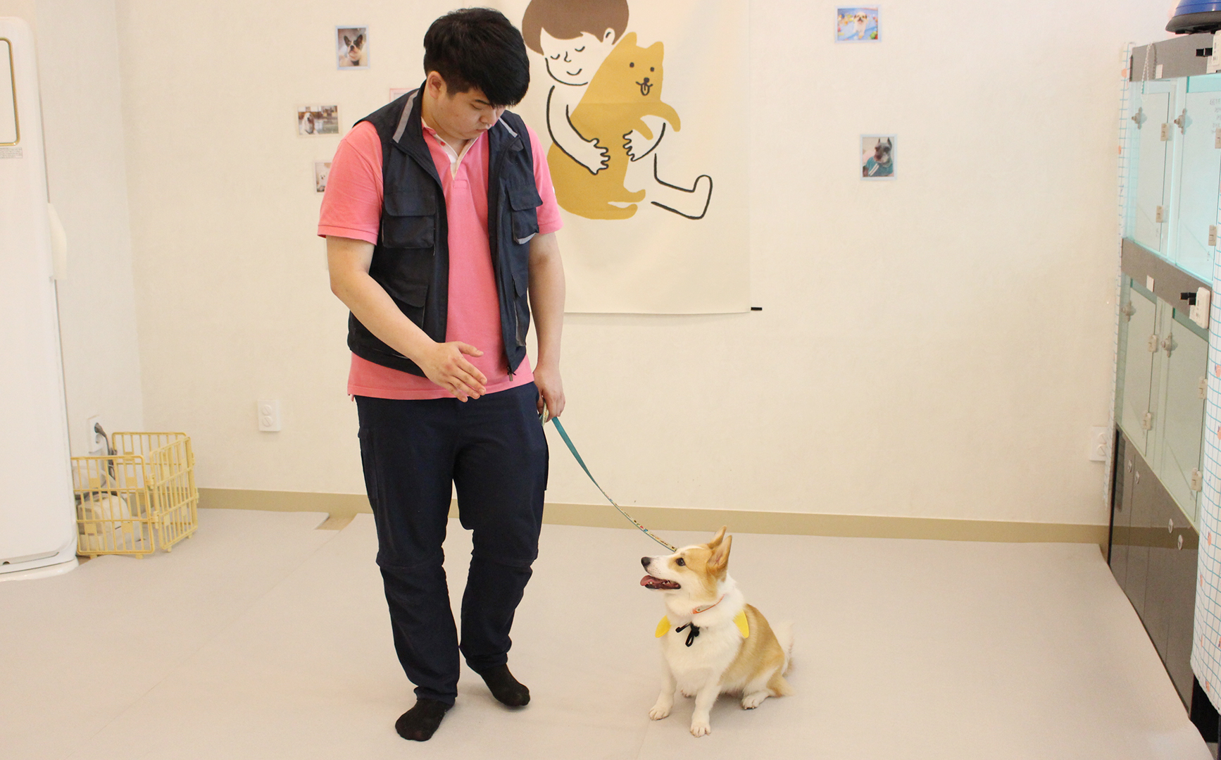 도그원 애견호텔 대표 이미지