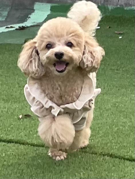 내가더