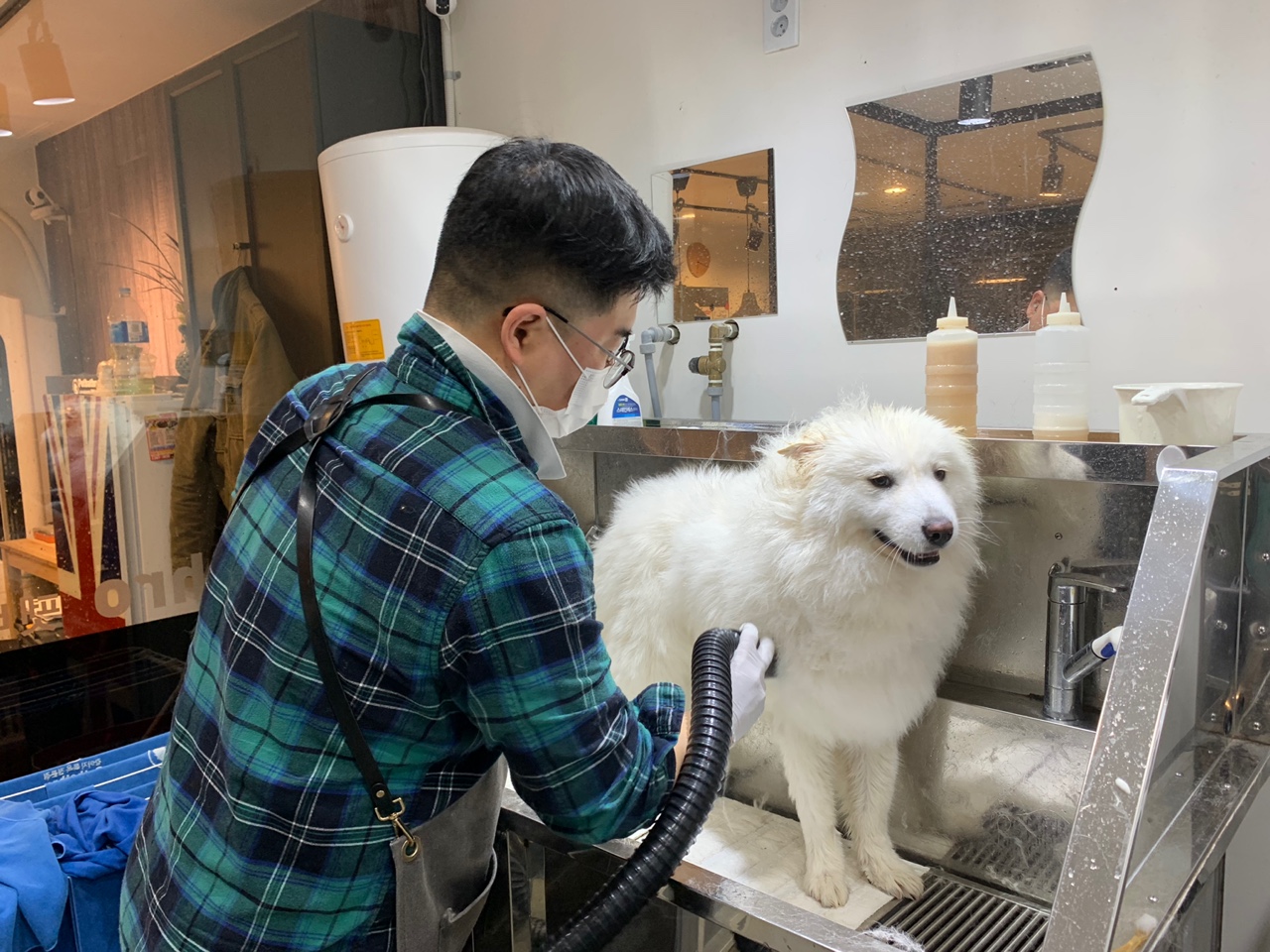 펫바스로 동탄본점 대표 이미지