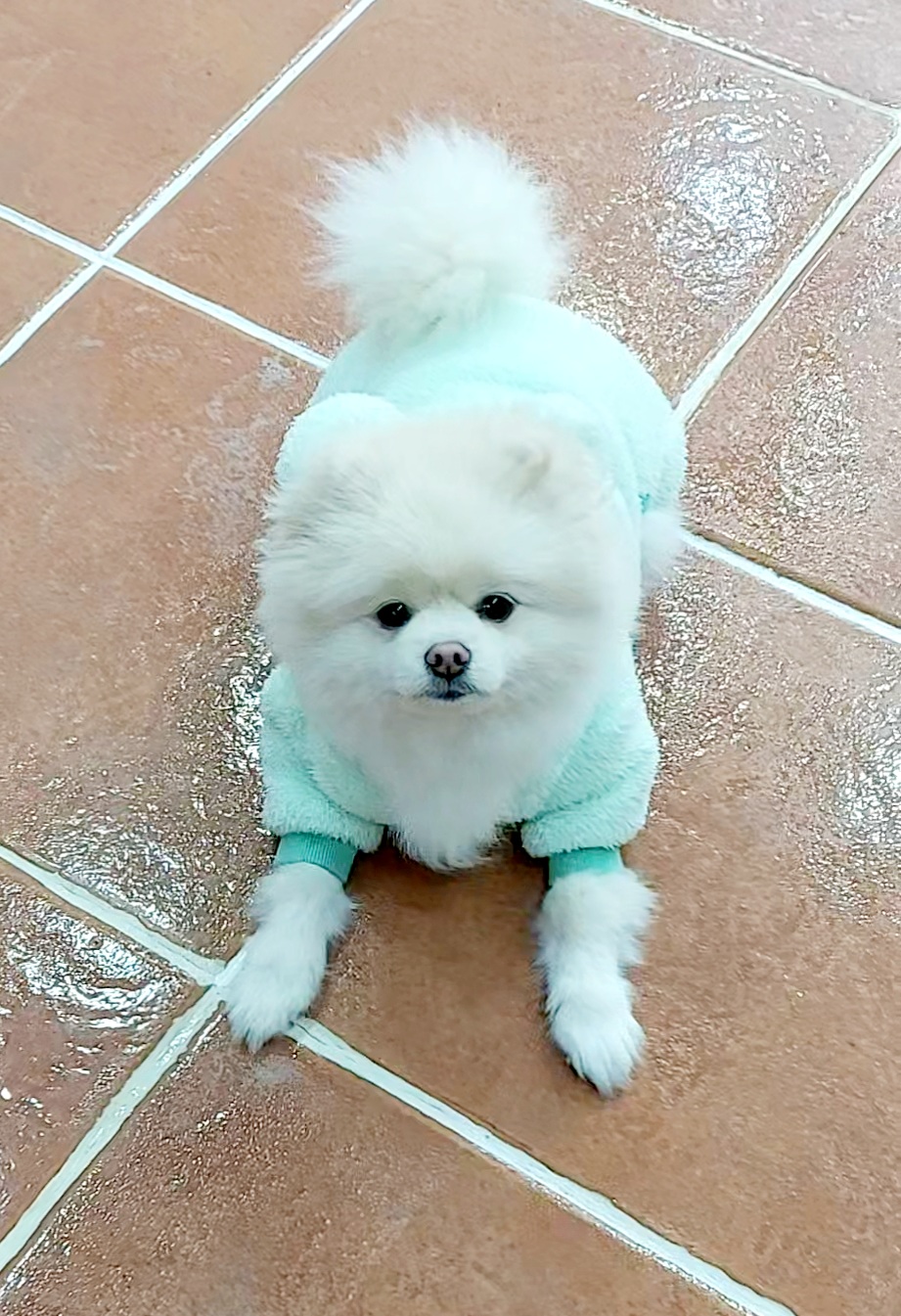 이미지