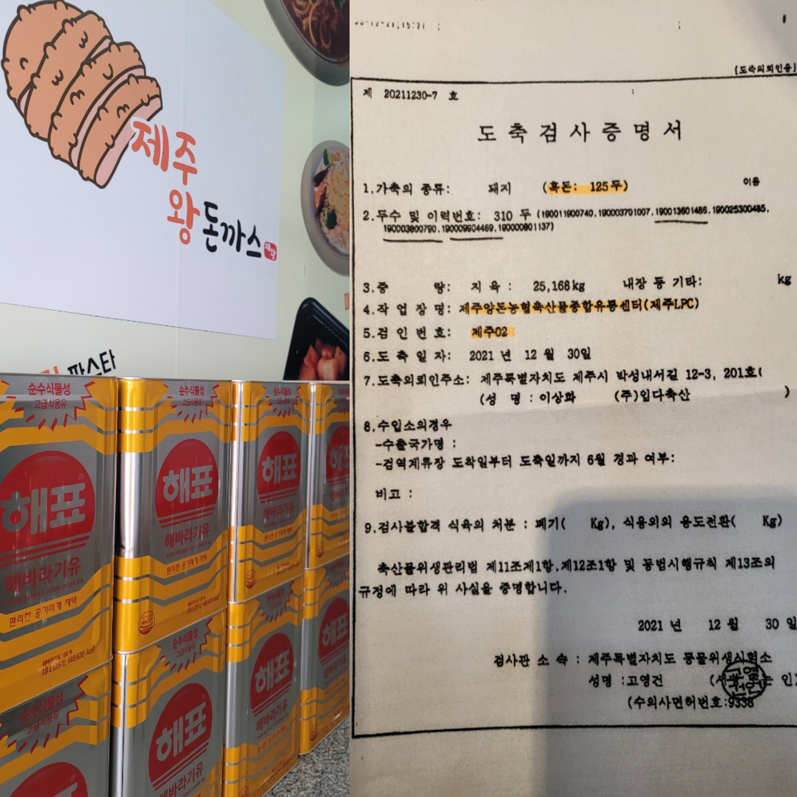즐거운 제주왕돈까스&파스타
