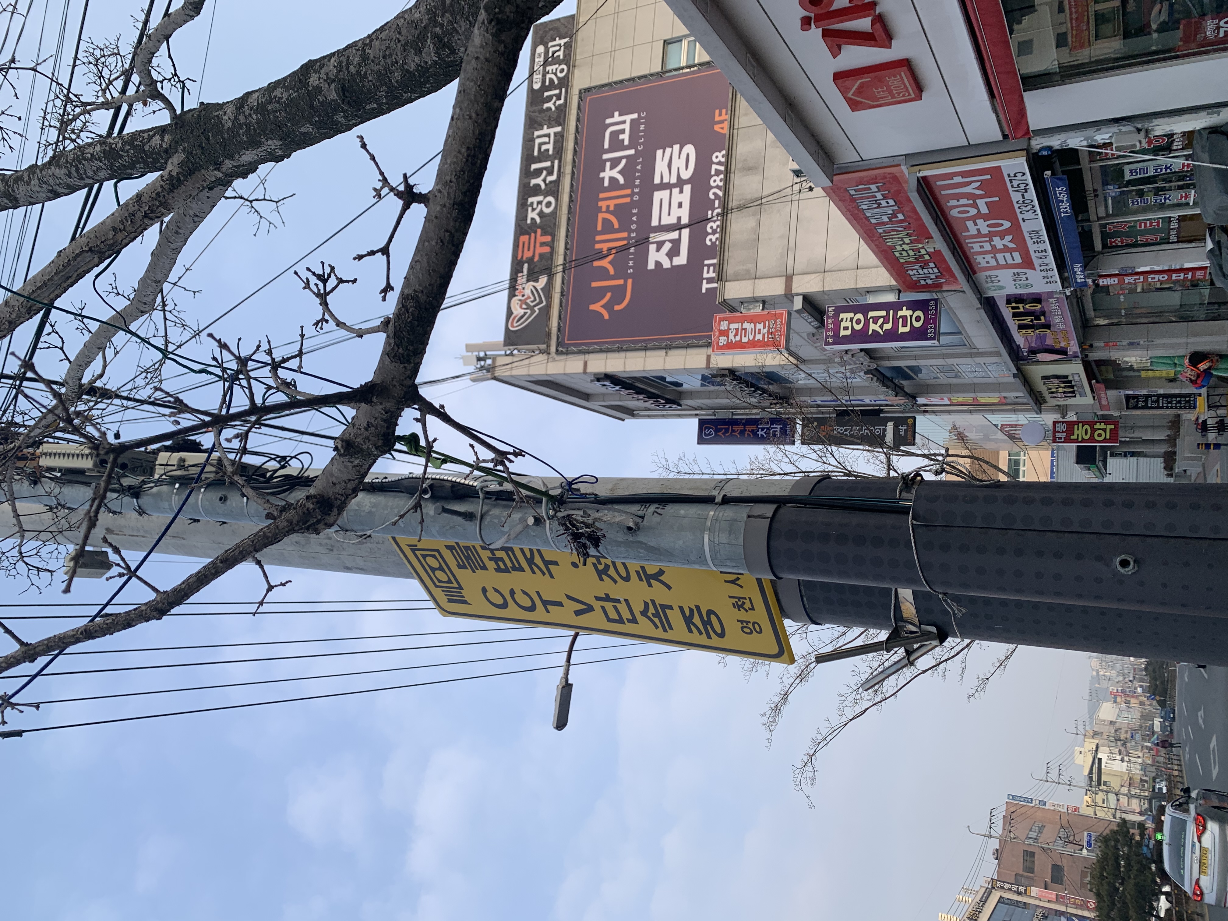 신세계치과의원 대표 이미지