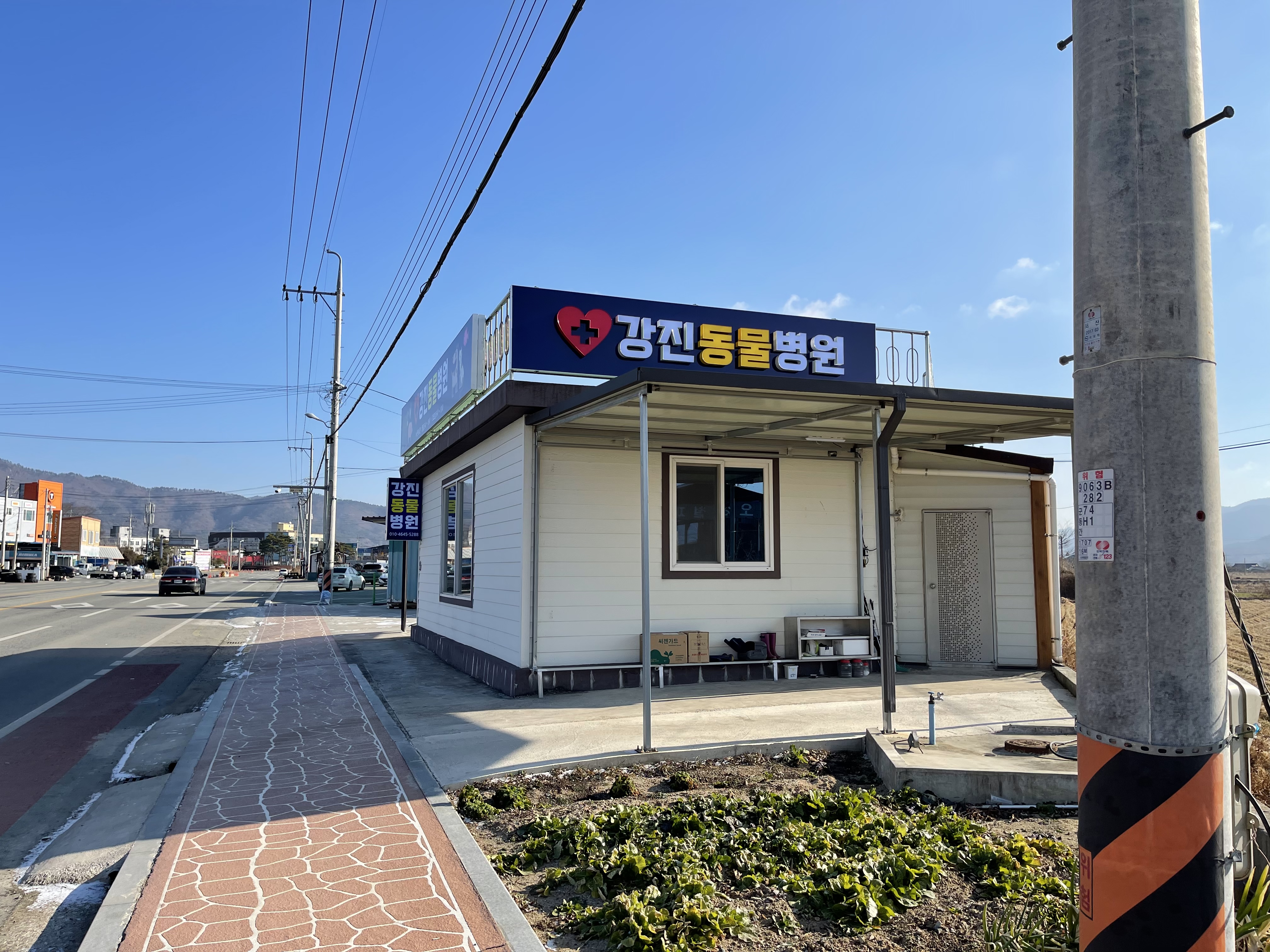 강진동물병원 대표 이미지