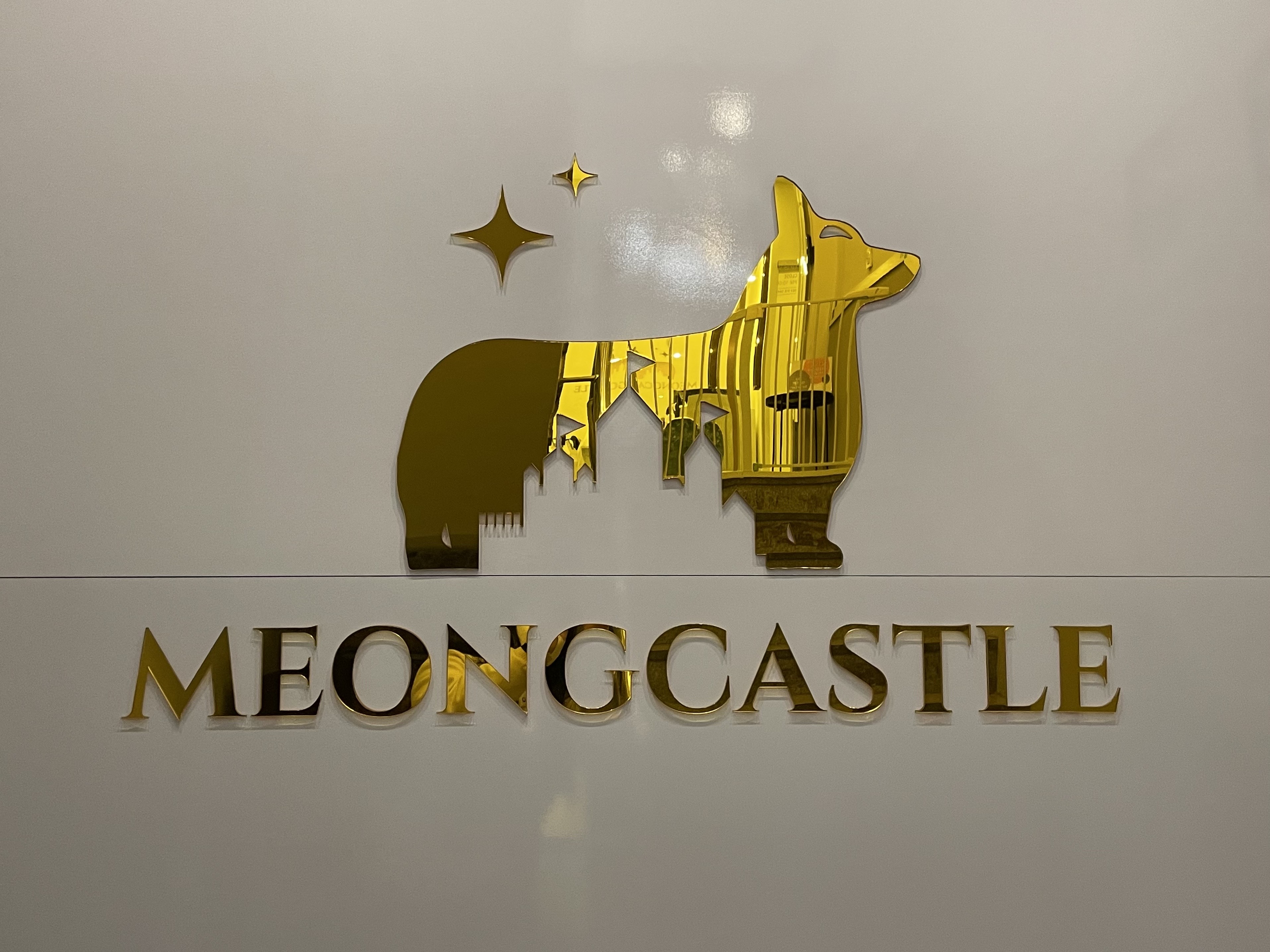 멍캐슬 프리미엄 반려견센터