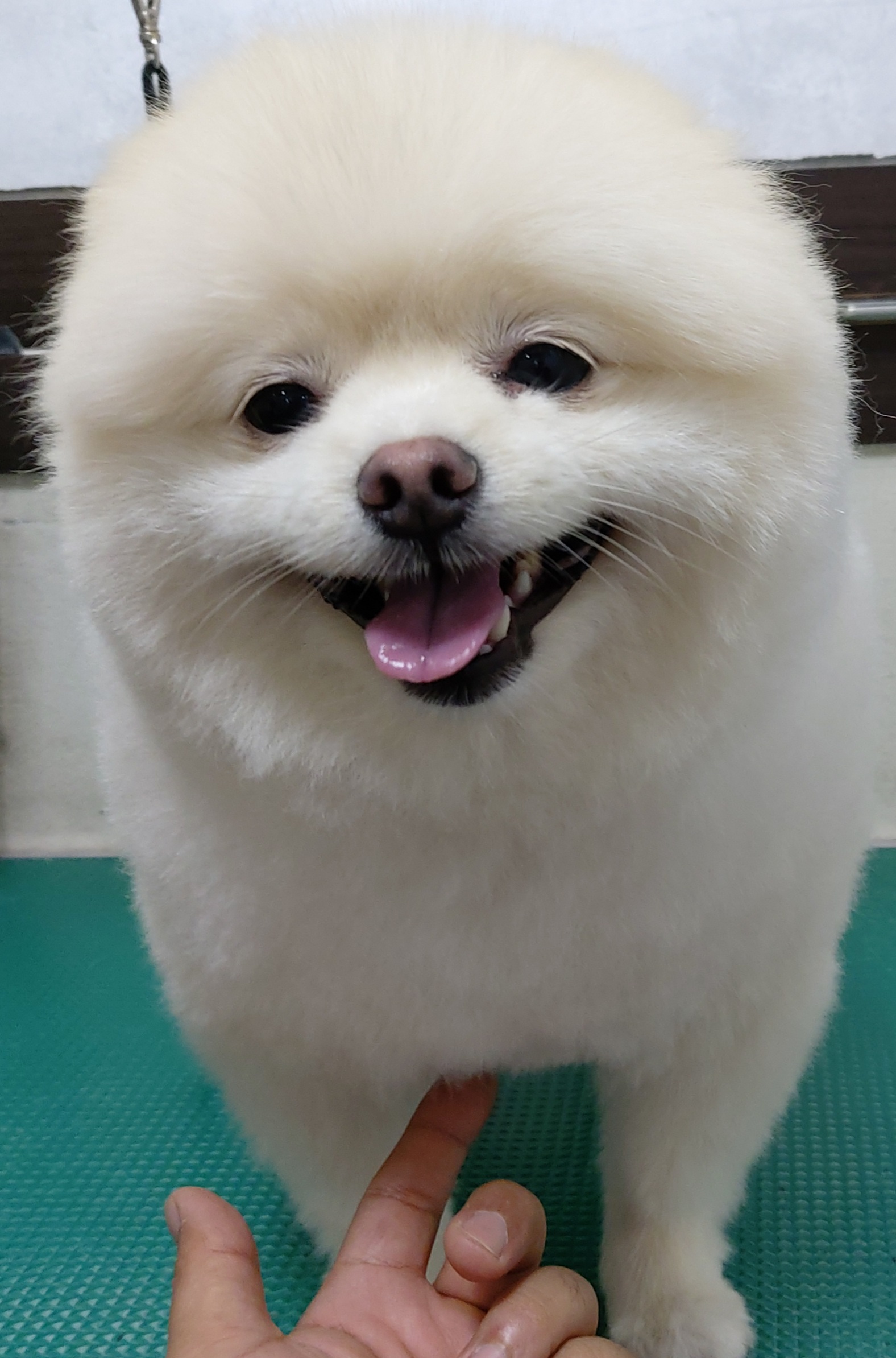 주변 가볼만한 곳