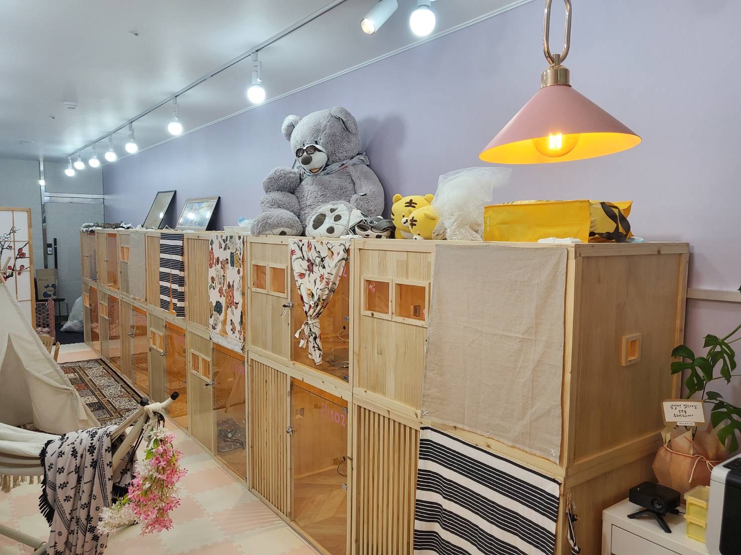 펫호텔조선 본점 대표 이미지