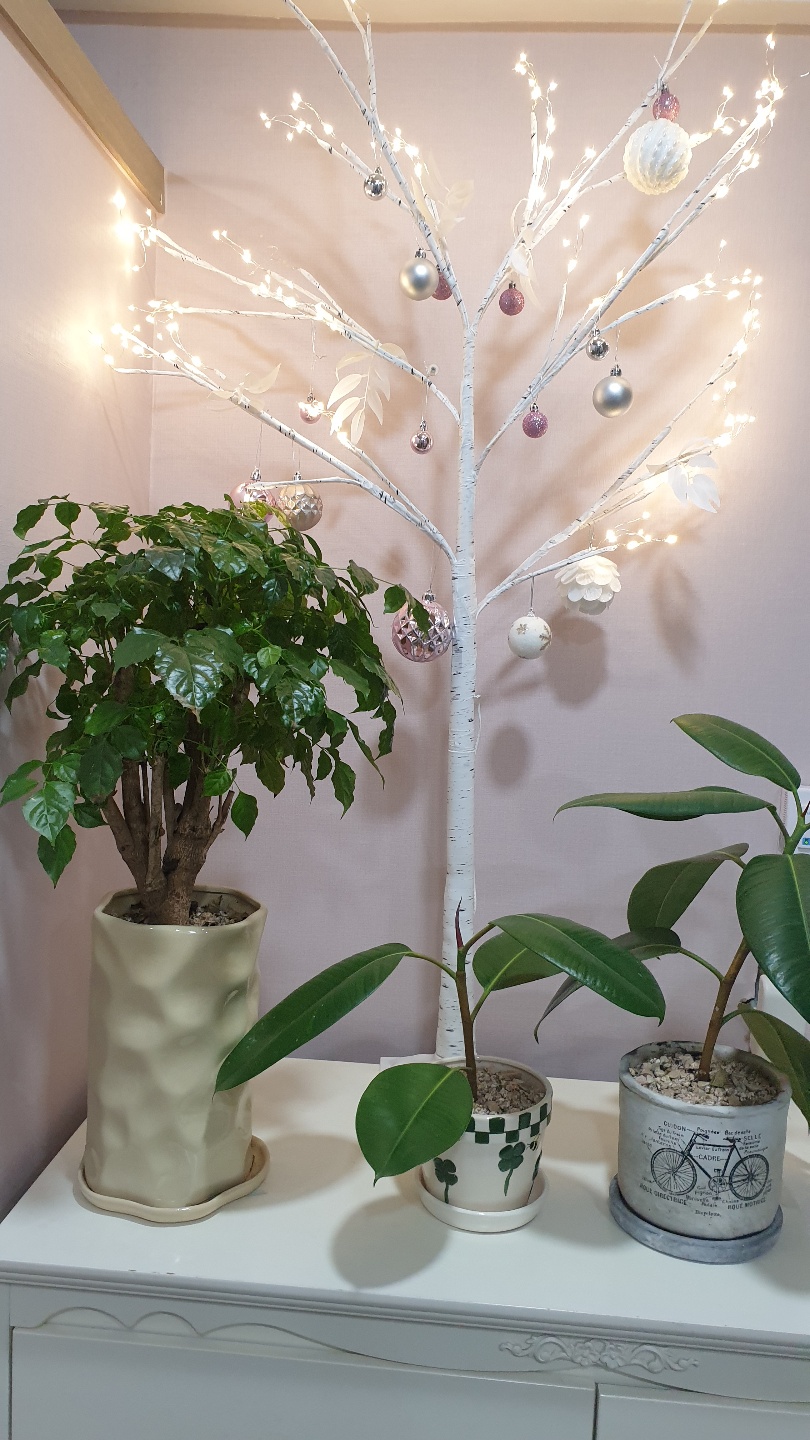 숲칼프 장승배기점 대표 이미지