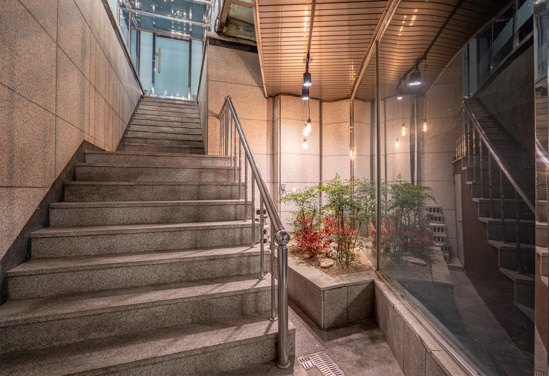 크로스핏 더홀스 대표 이미지