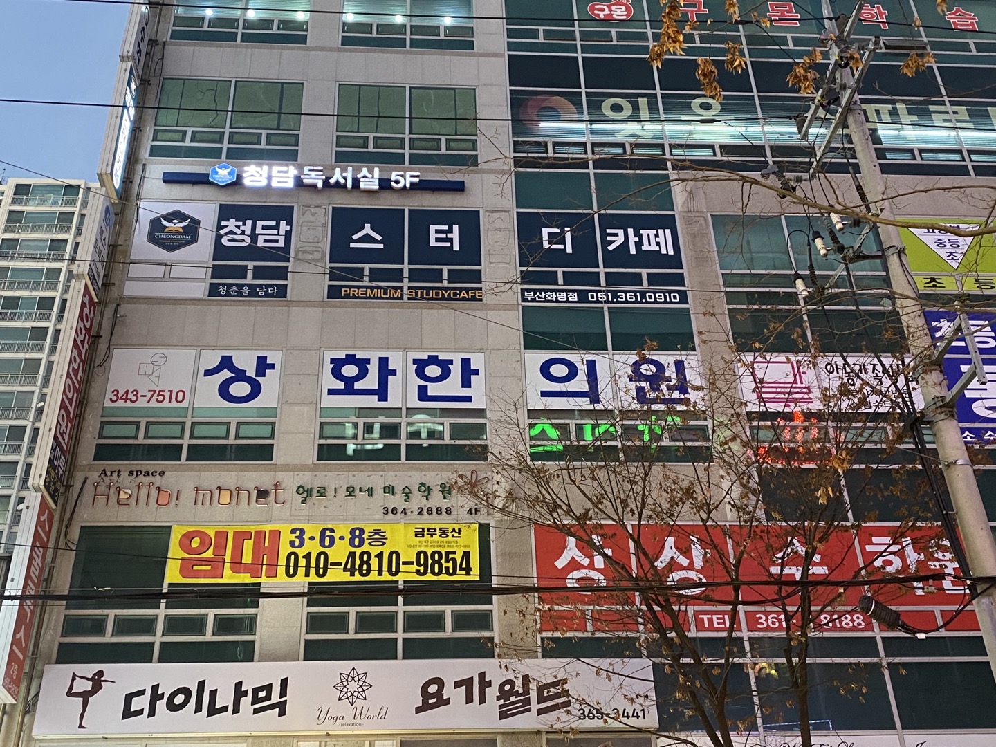 업체사진