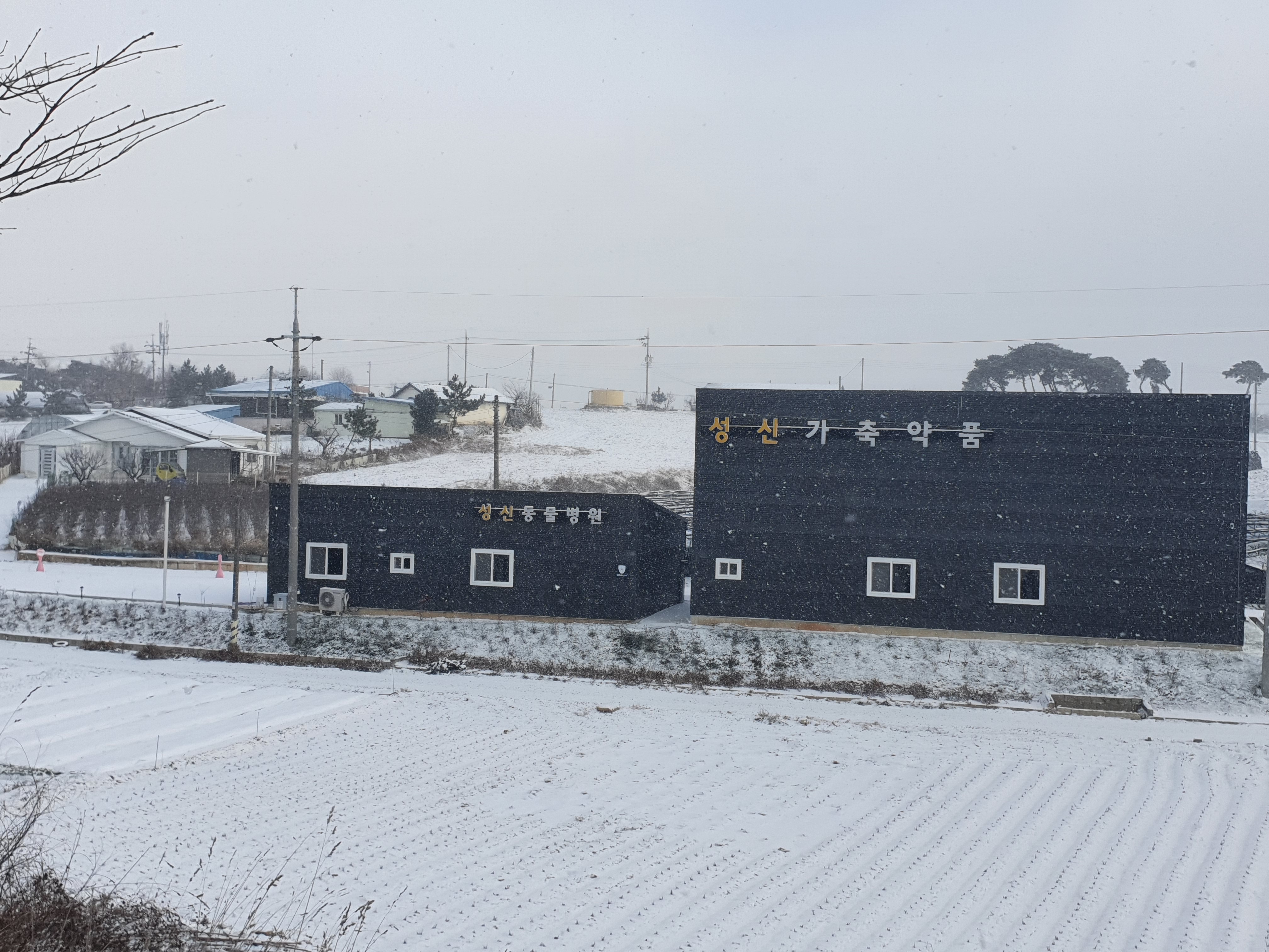 성신가축약품 성신동물병원