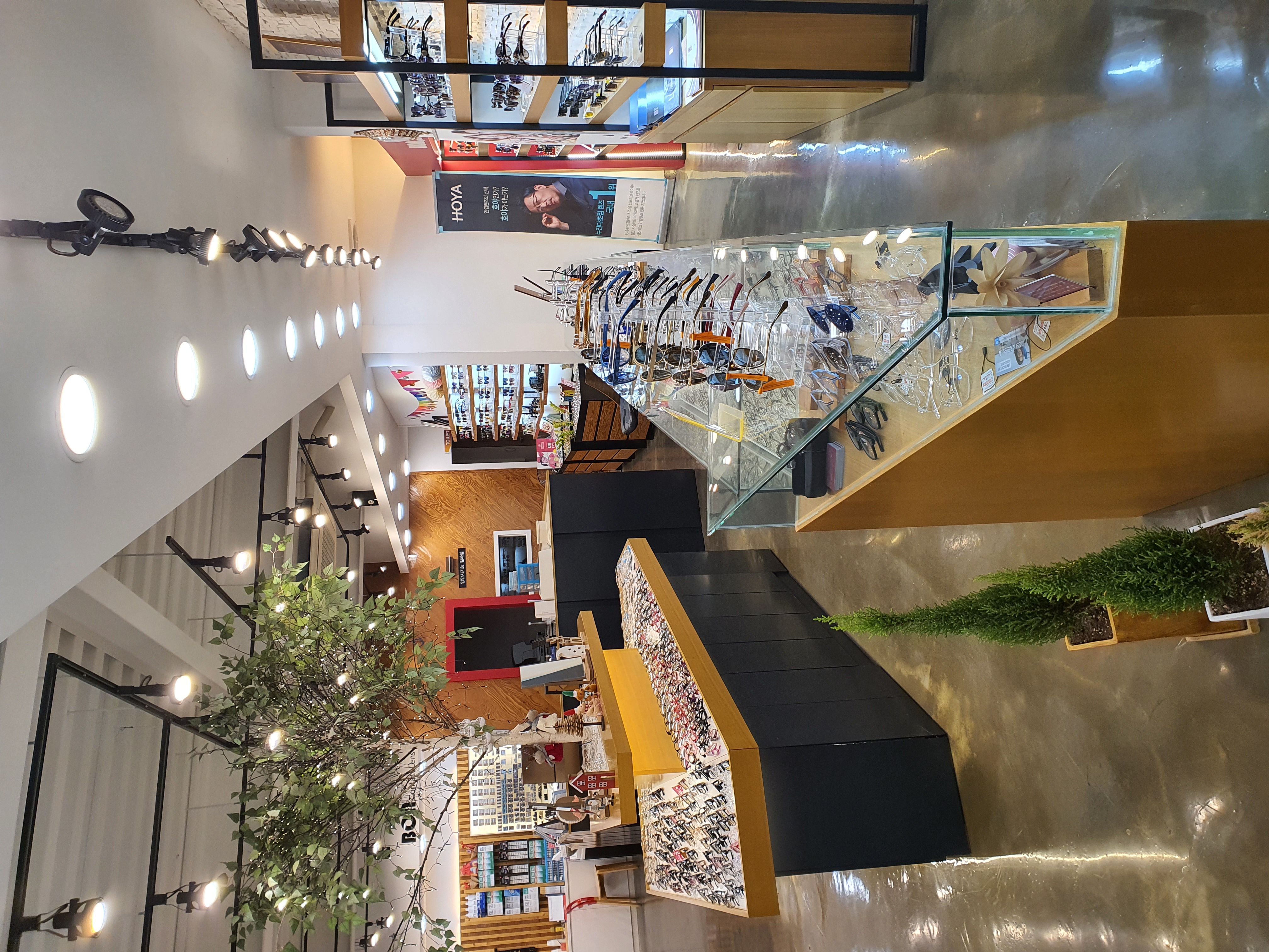 본 안경콘택트 대표 이미지