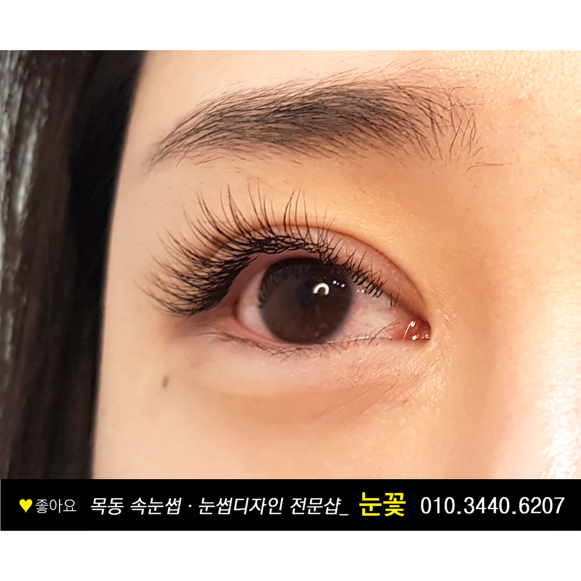 눈꽃 대표 이미지