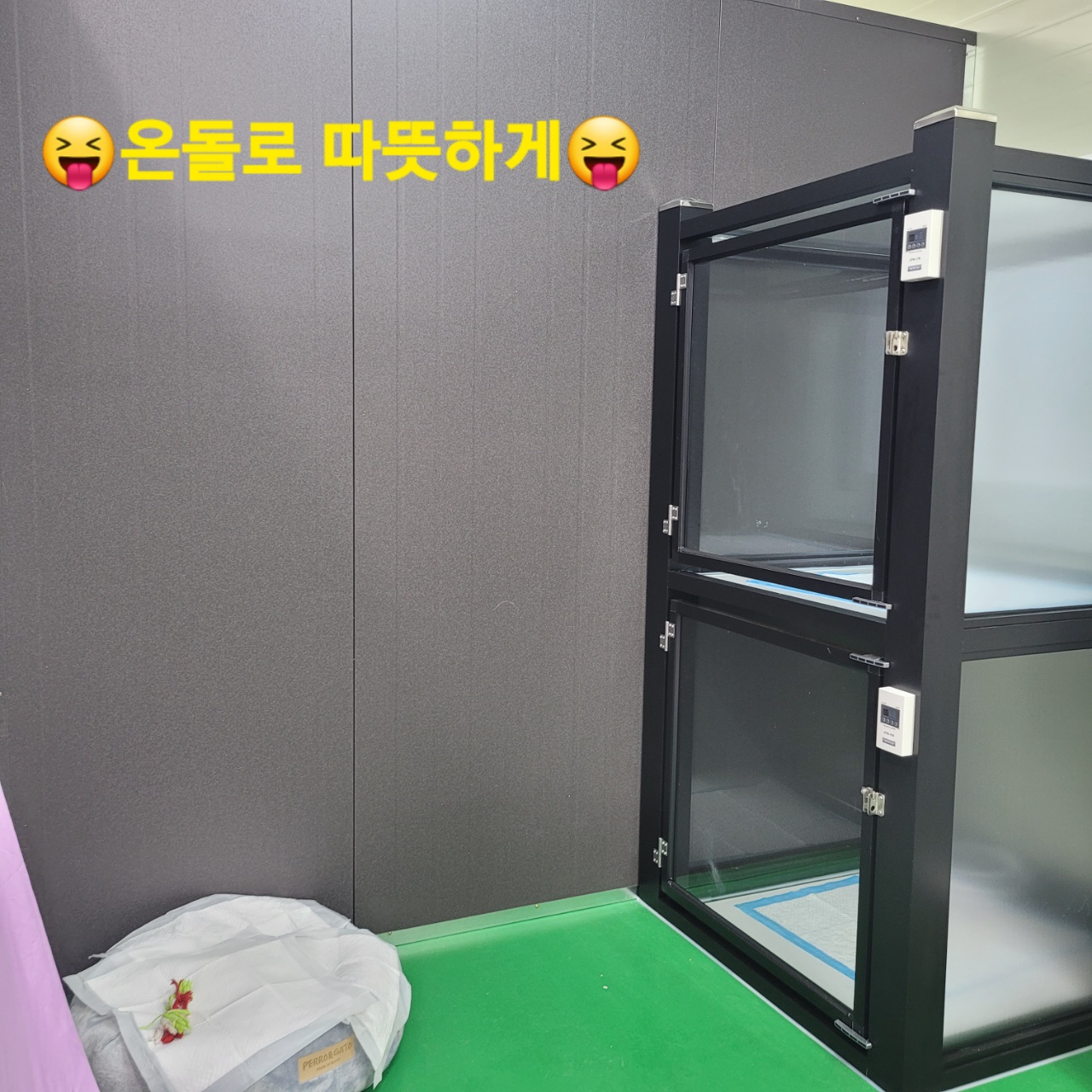 꼬리연구소 대표 이미지
