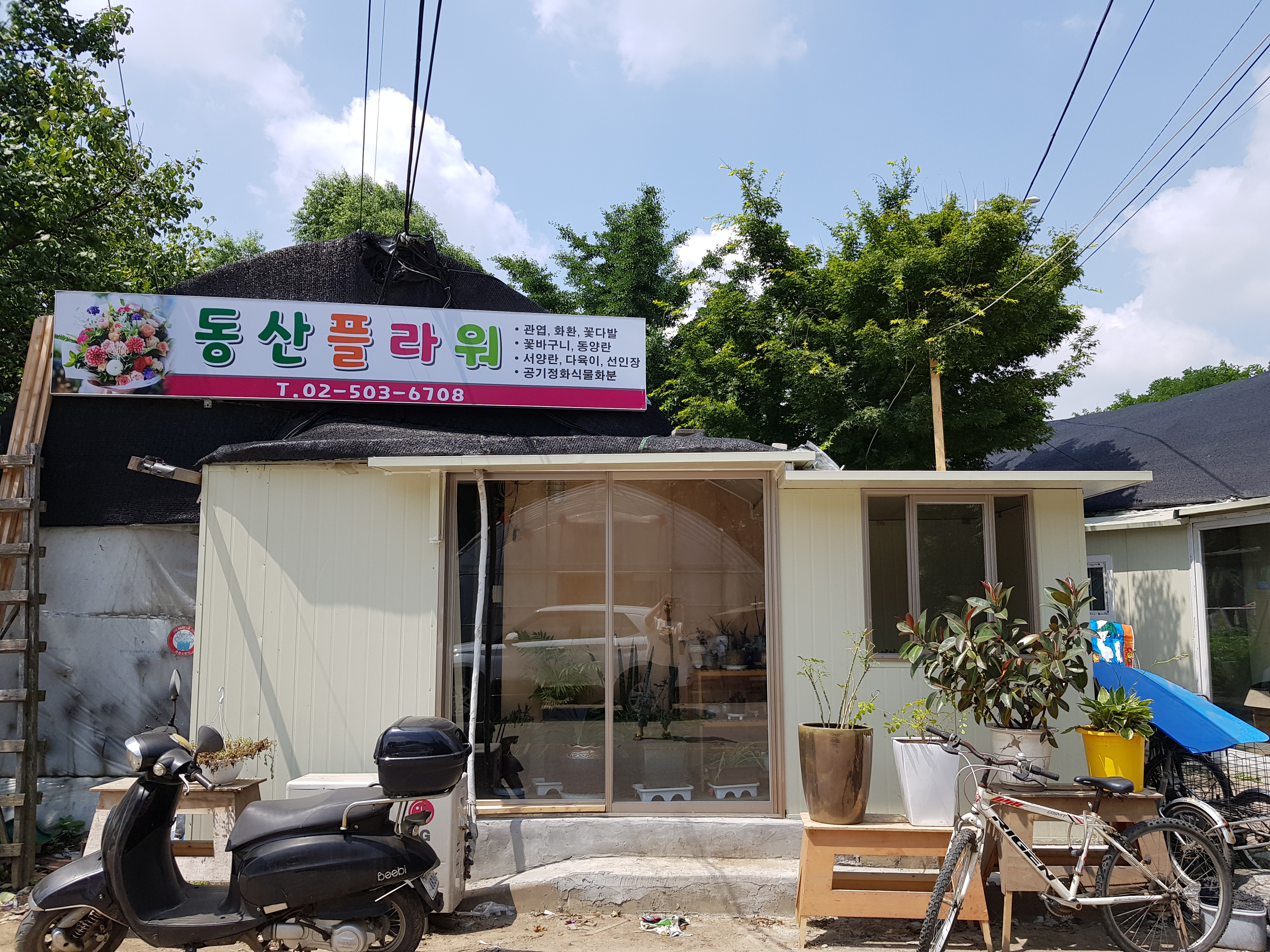 동산플라워