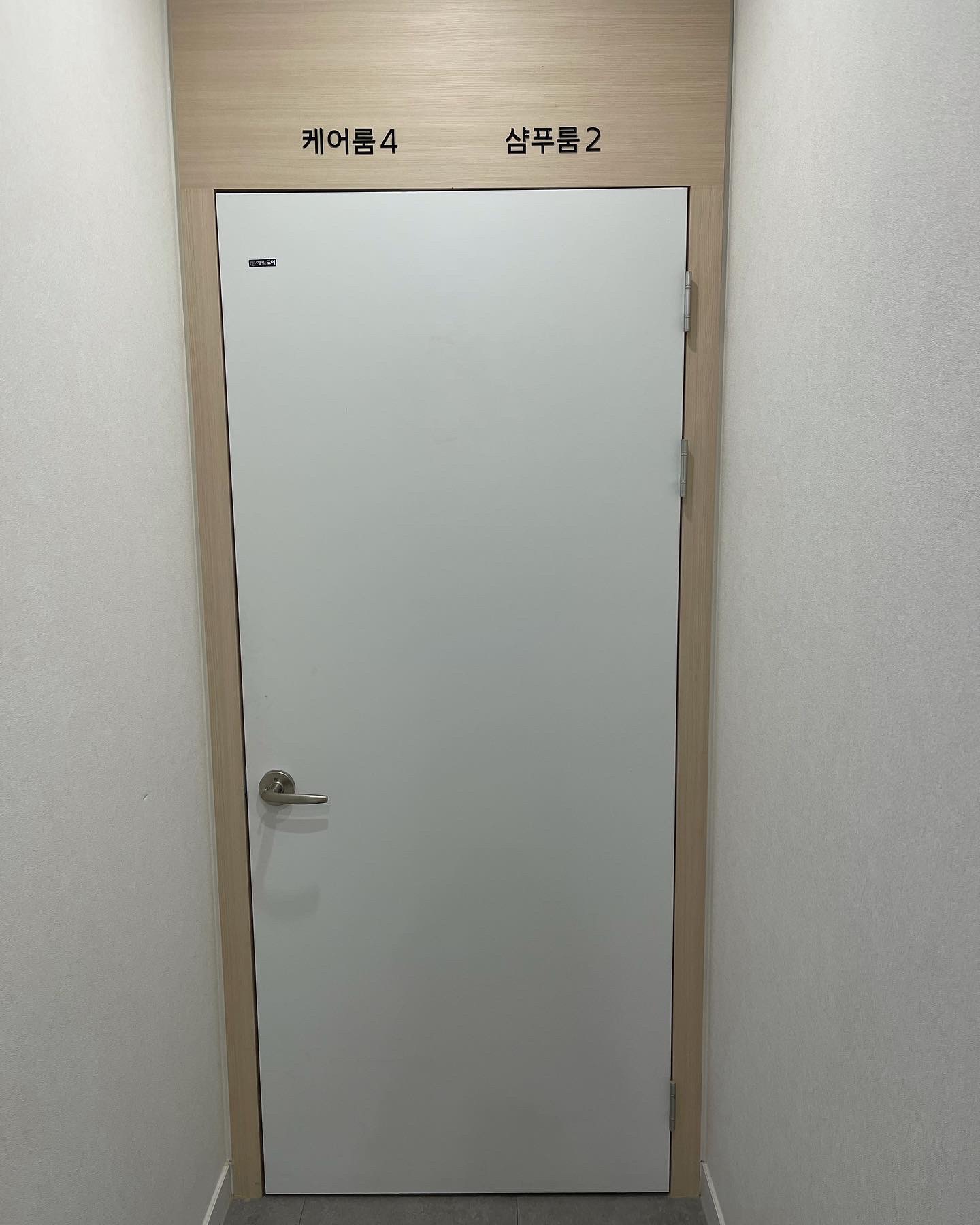 스파오라스칼프 대표 이미지