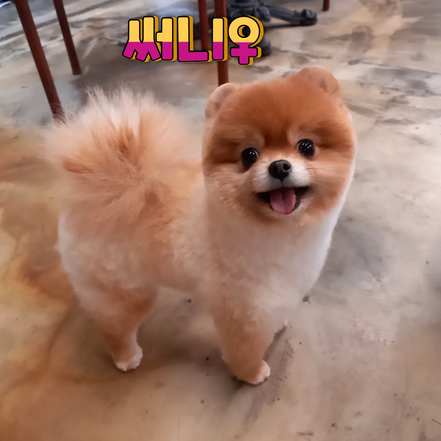 이미지