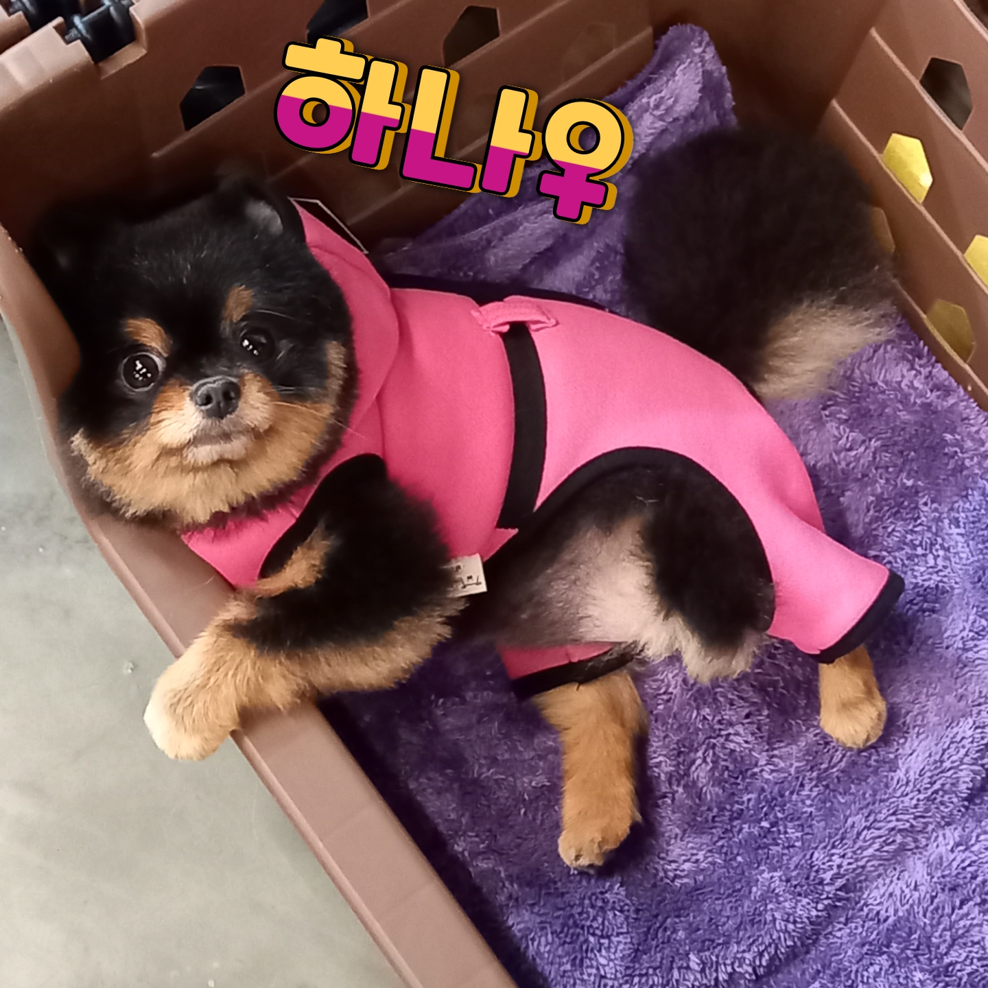 이미지