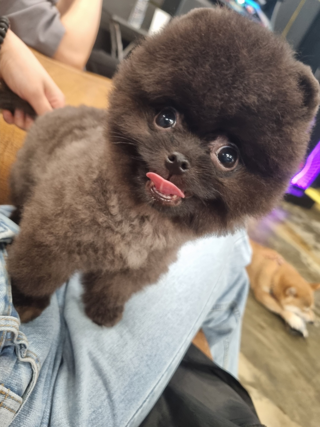 주변 가볼만한 곳