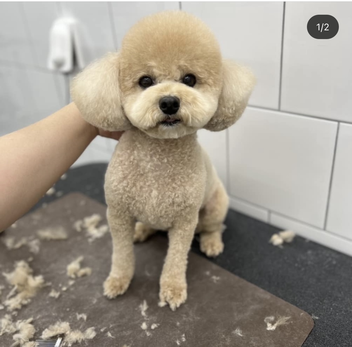 라이크잇
