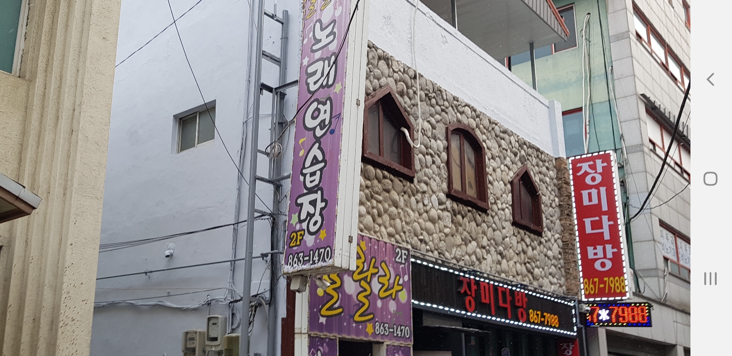 장미다방