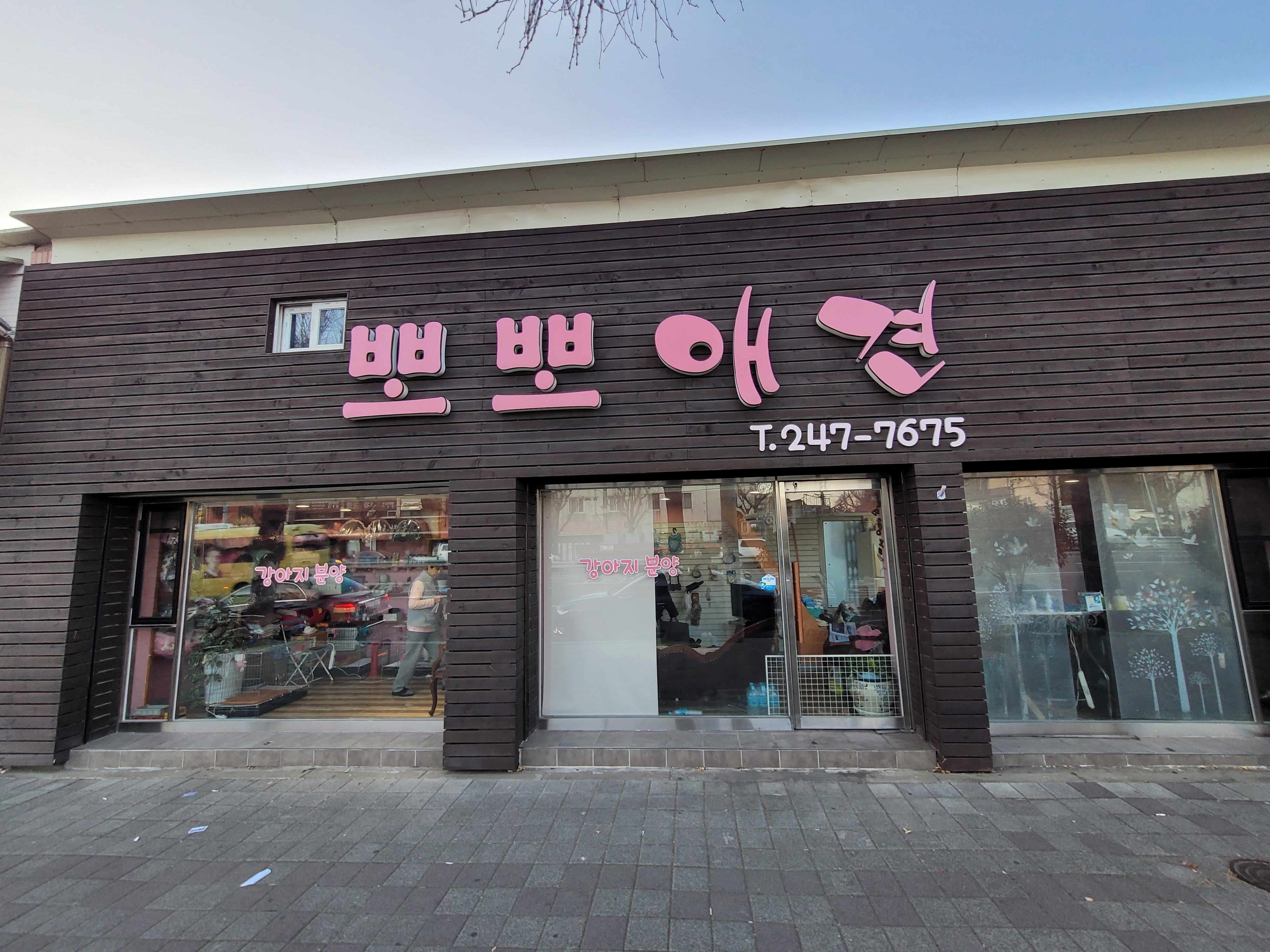 뽀뽀애견