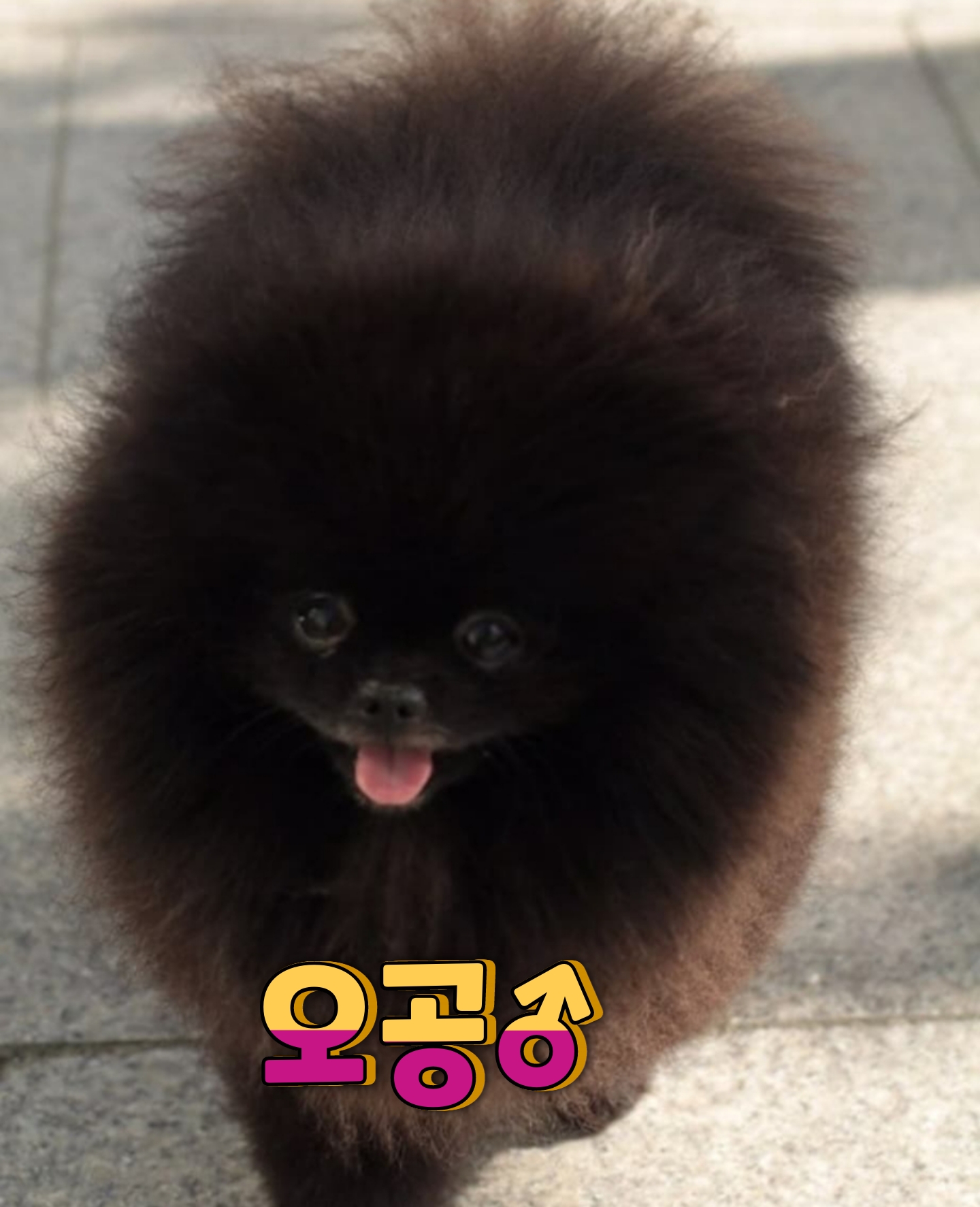 이미지