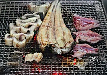 한방민물장어