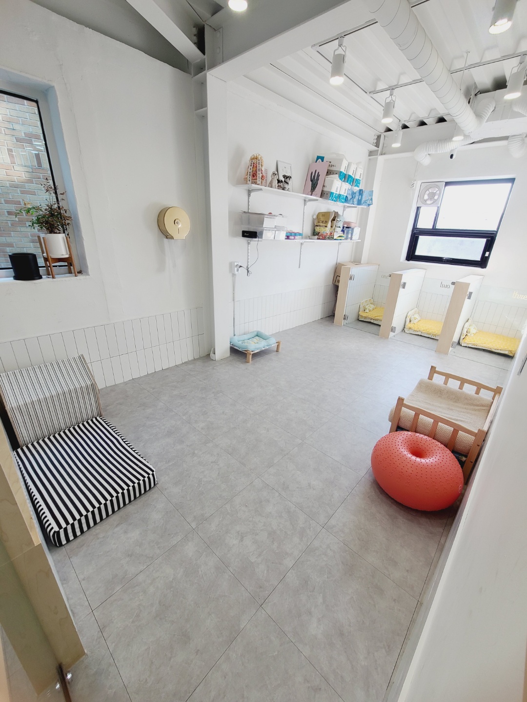 베럴라이프 대표 이미지