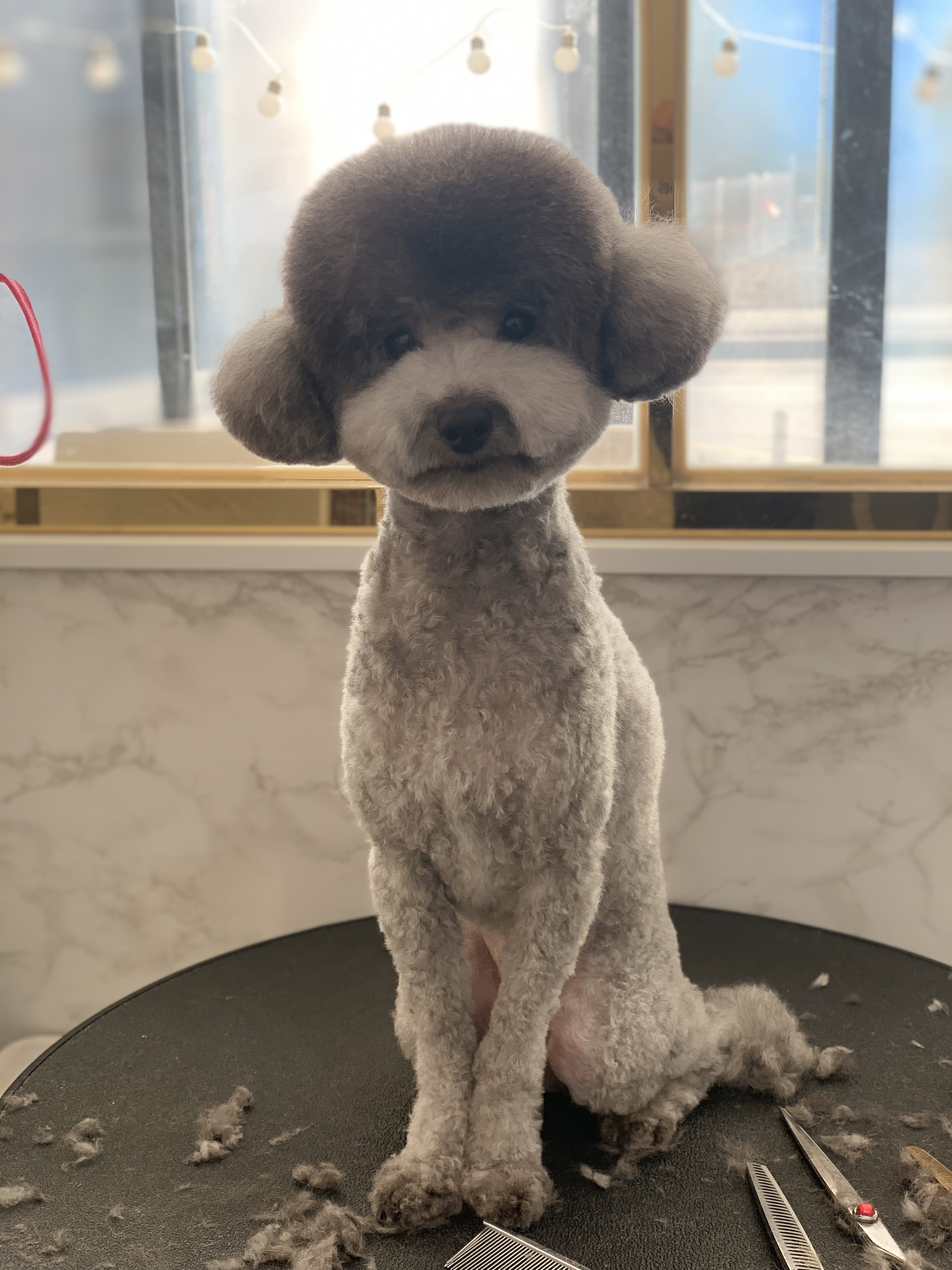 쓰담쓰담 대표 이미지