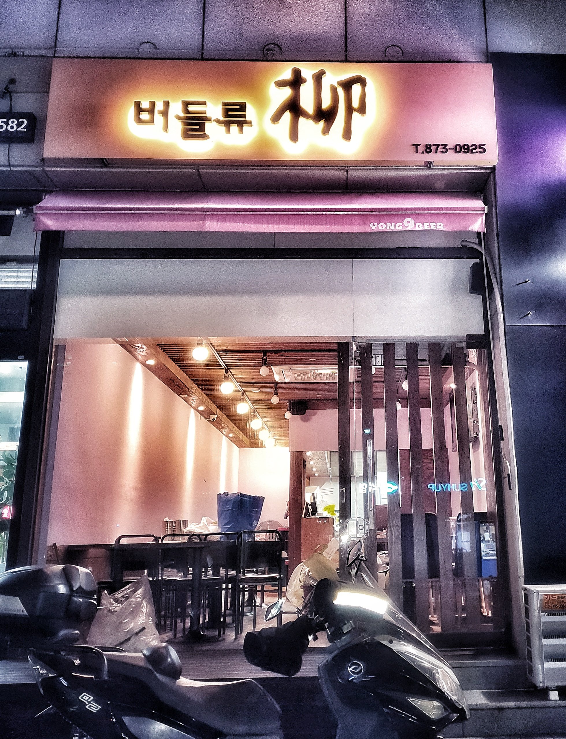 버들류