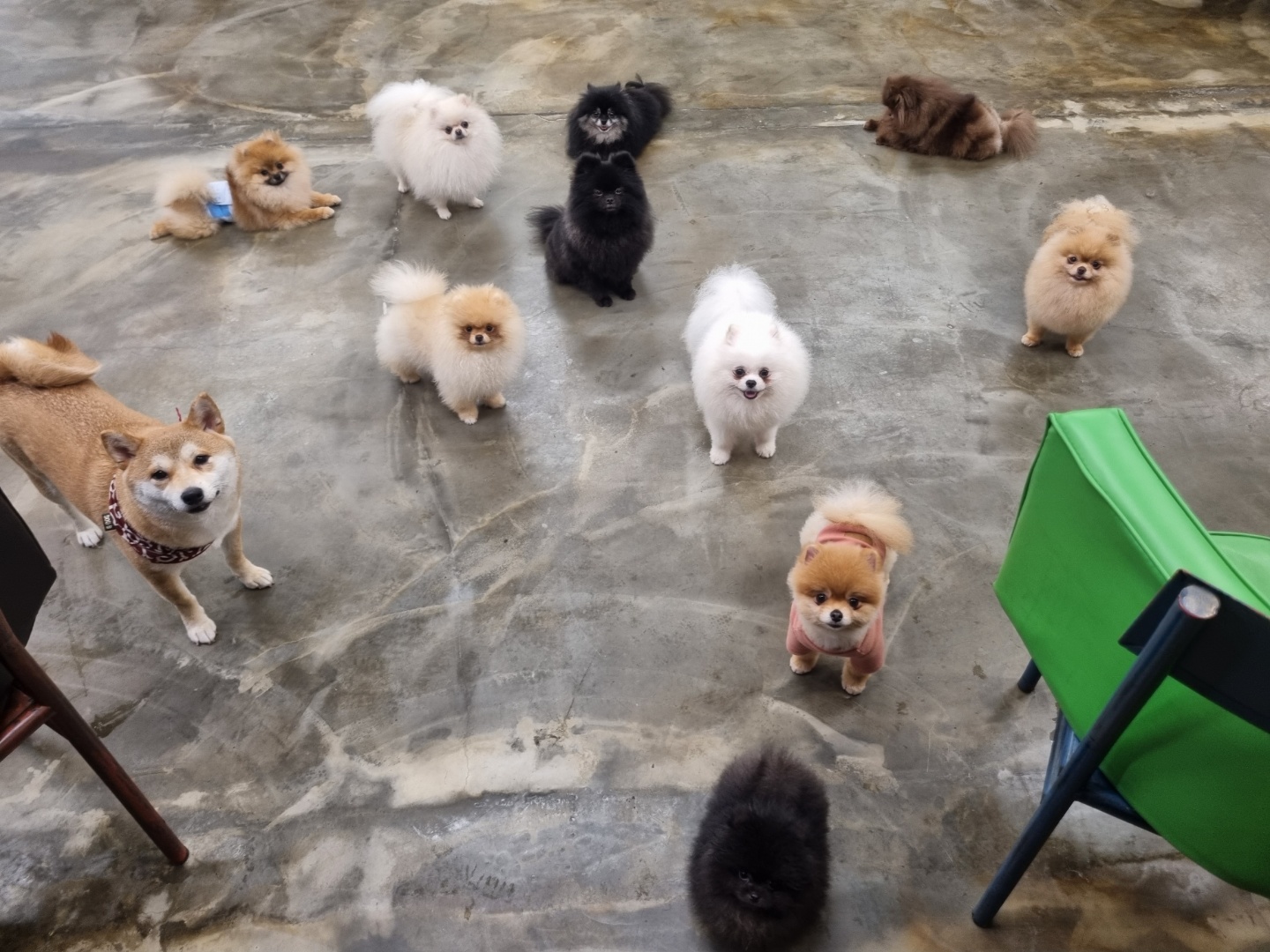 휘우커피 7