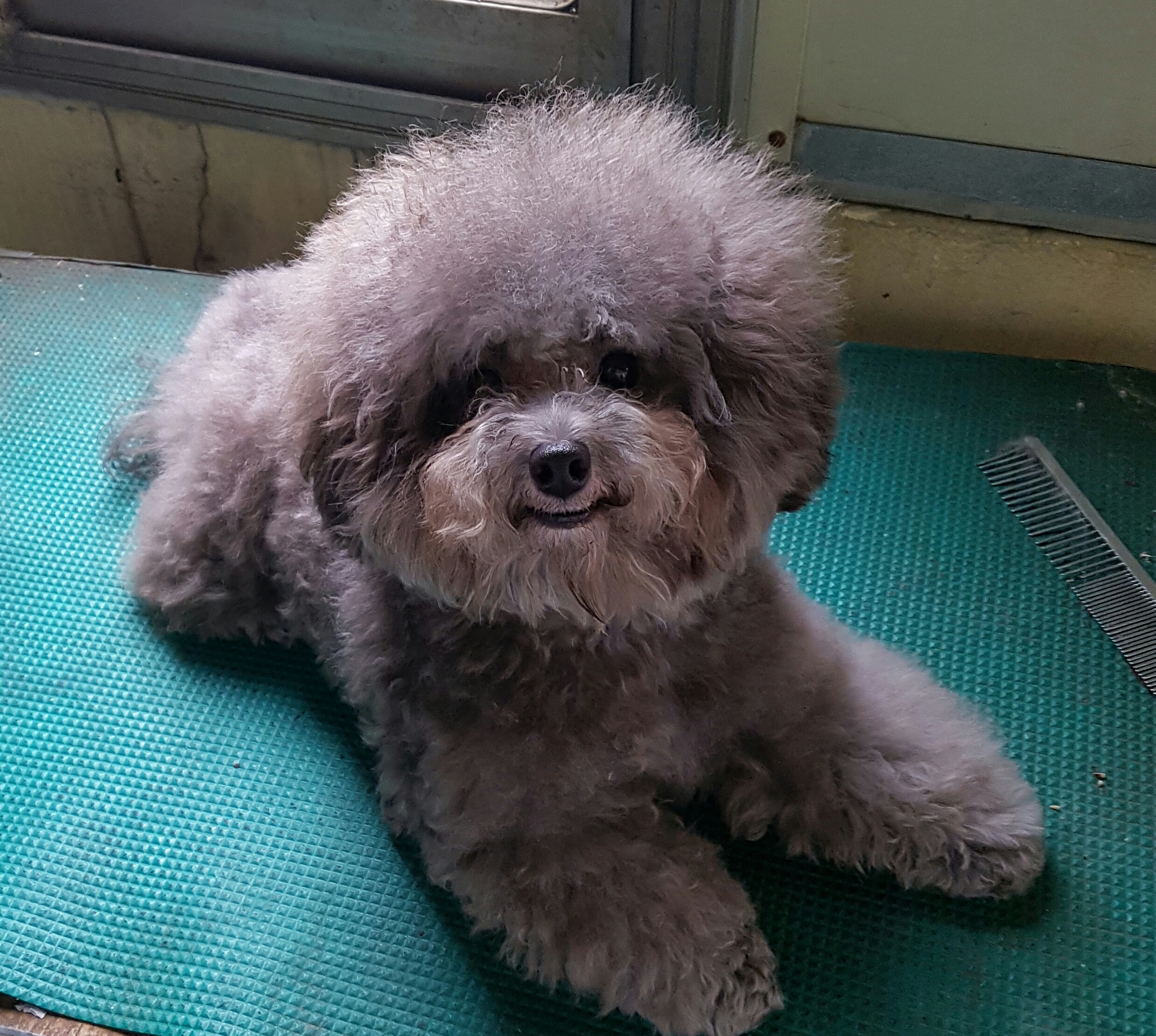 순독 대표 이미지