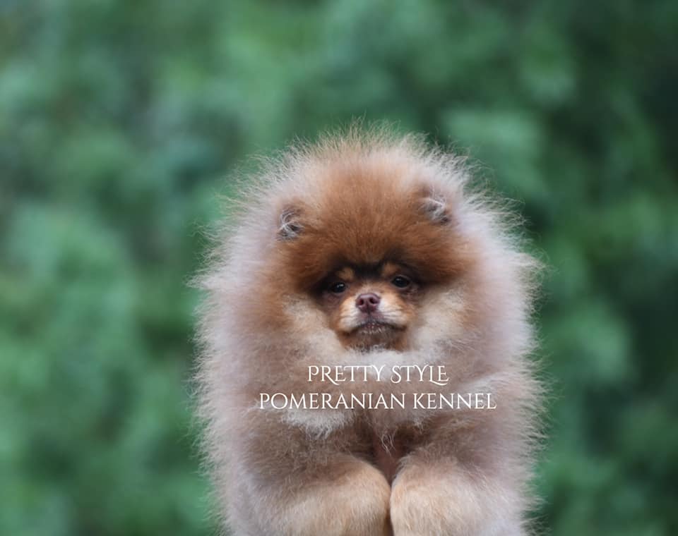 순독 대표 이미지