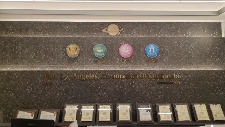 국제생활체육건강관리연합회 photo 10