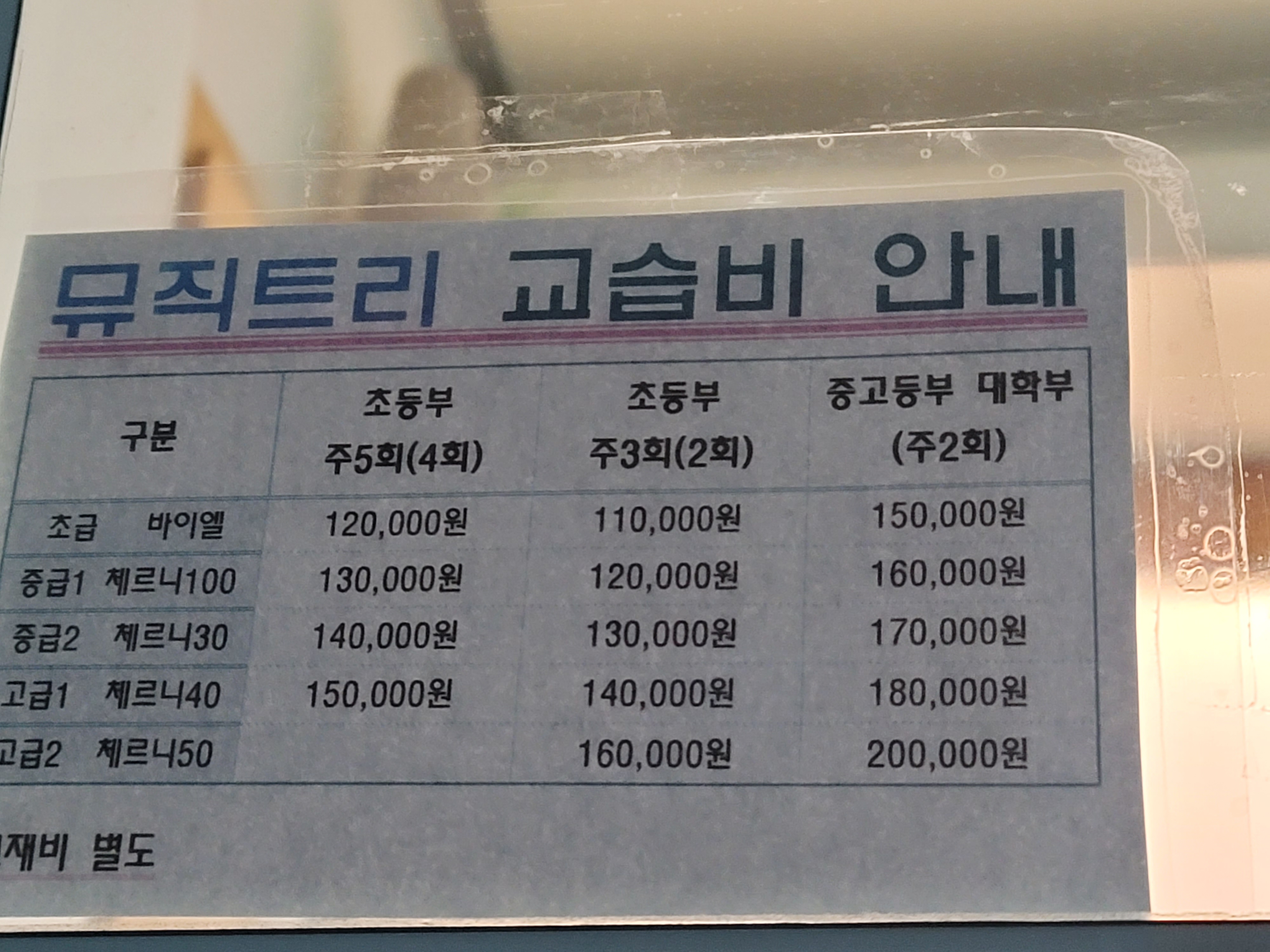 뉴뮤직트리음악교습소