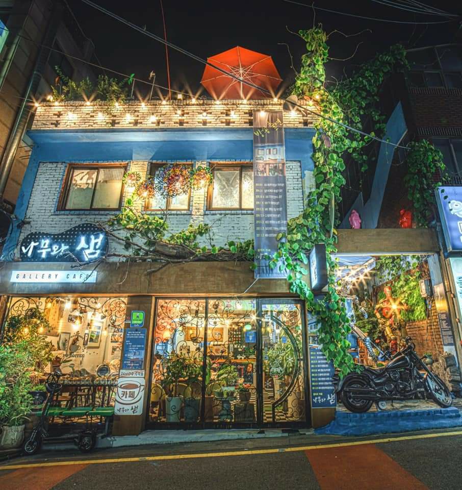 갤러리카페 나무와 샘