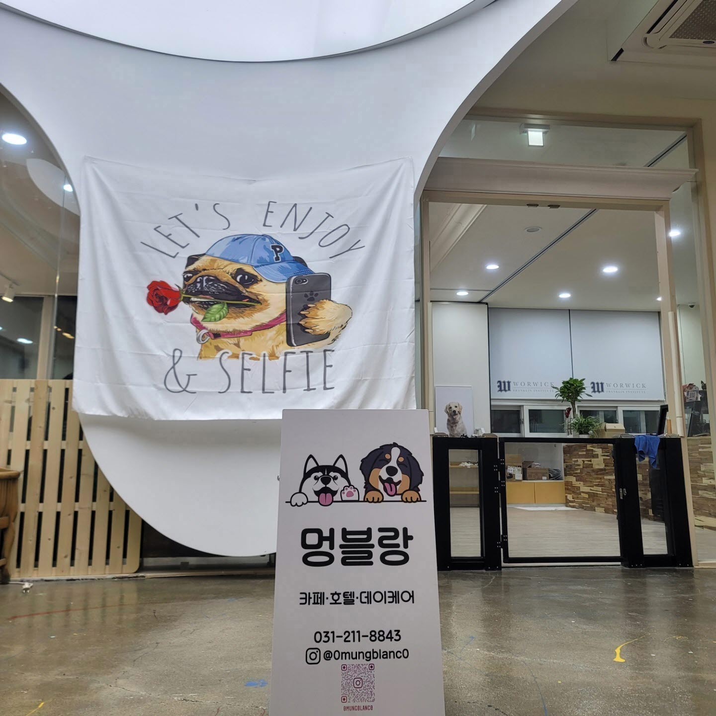 이미지