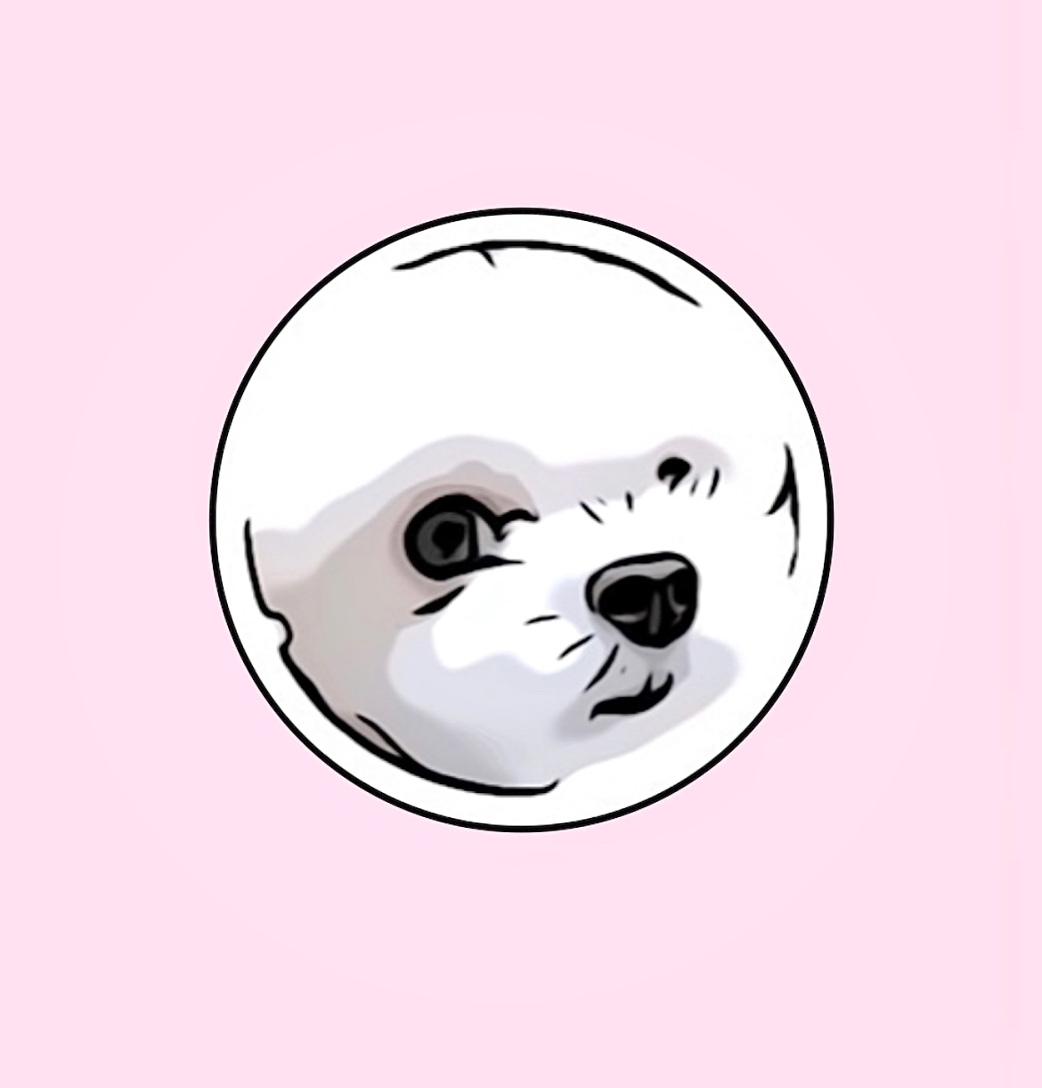 하얀이언니네