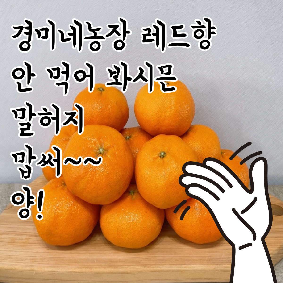 경미네농장 감귤체험농장